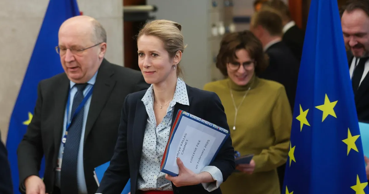 Kallase ja Kubiliuse saja päeva töö tuuakse tuleval nädalal avalikkuse ette