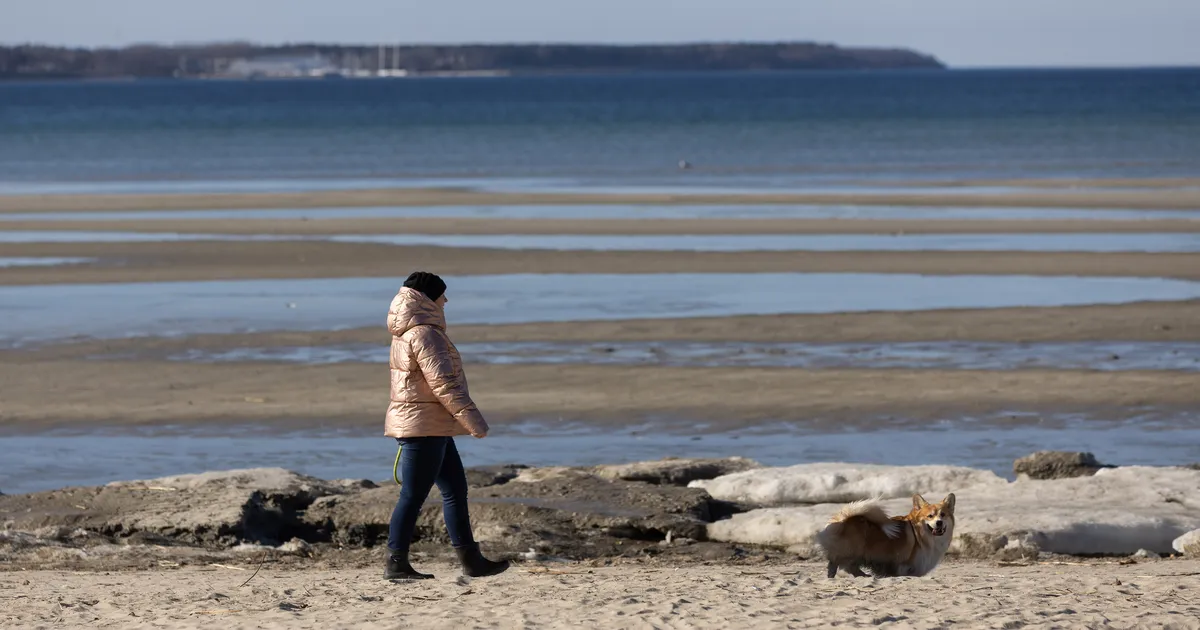 Laupäeval tuleb kuni kuus kraadi sooja