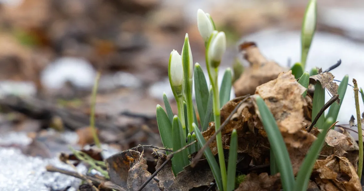 Õhusoe teeb hüppe üles