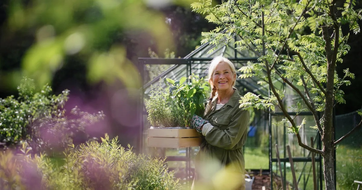 6 kasulikku raamatut, mille abil oma unistuste aeda luua