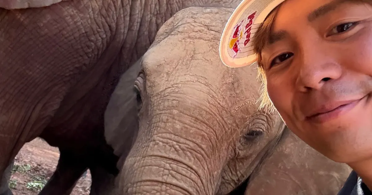 VIDEO ⟩ WRC-sõitjad mängisid Keenias orbudest elevantidega