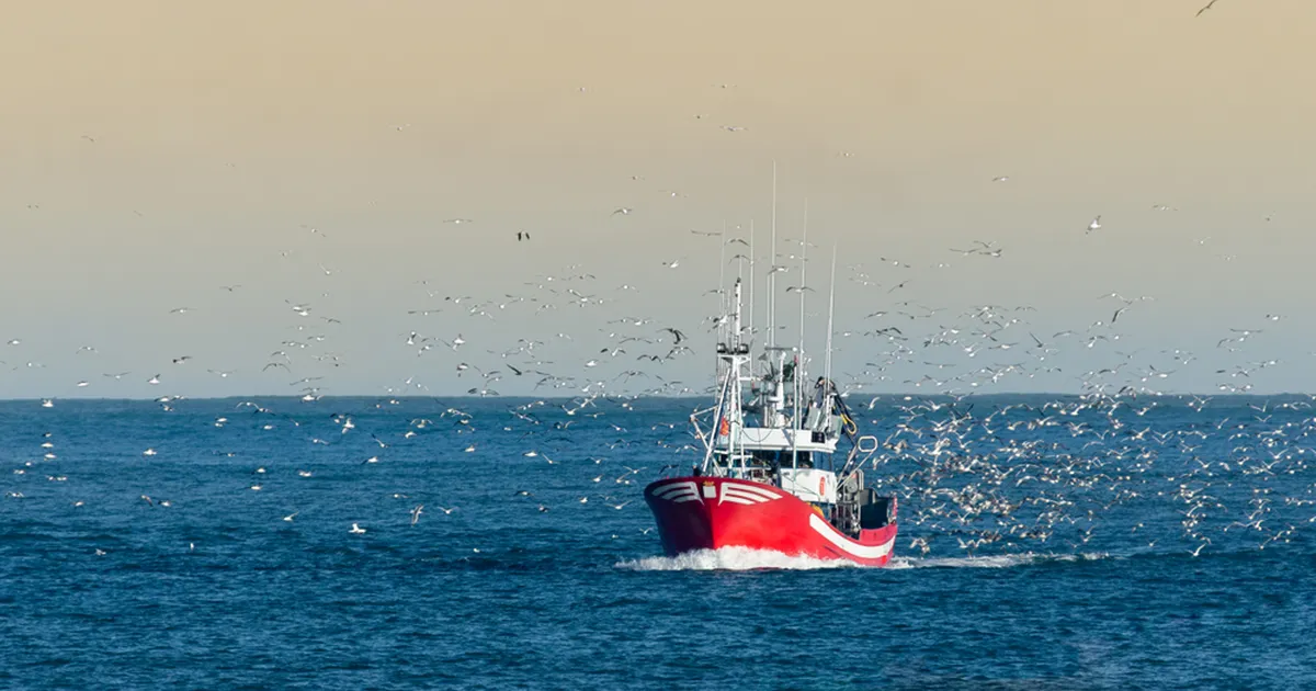 VIDEO ⟩ Peruu kalamees leiti Vaiksest ookeanist elusana pärast 95 päeva kadunuks jäämist