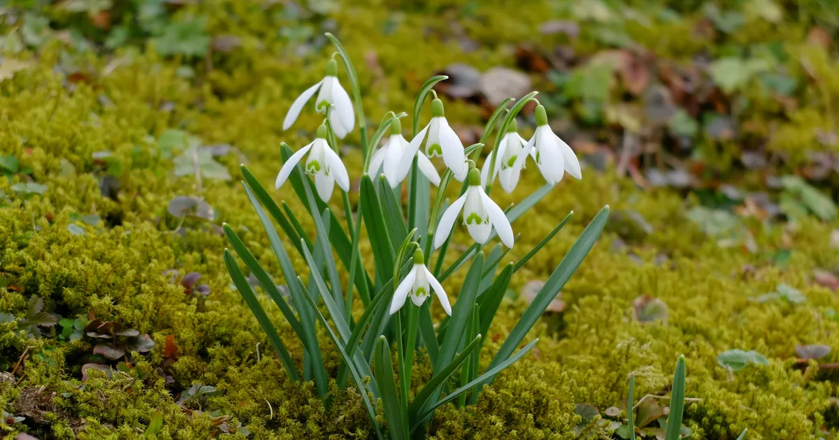 NÄDALAPROGNOOS ⟩ Nädal võib tuua väsitavate olukordade lõppemist, aga ka südame avanemist