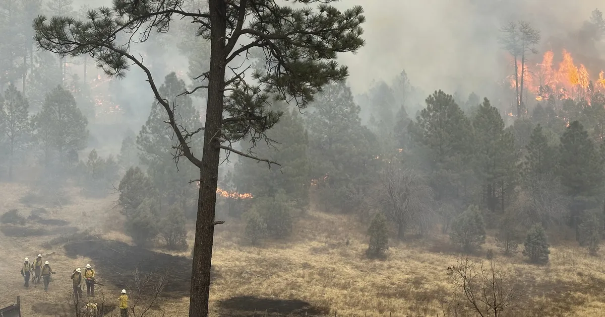 VIDEO ⟩ USA keskosas möllavad ulatuslikud maastikupõlengud ja tornaadod