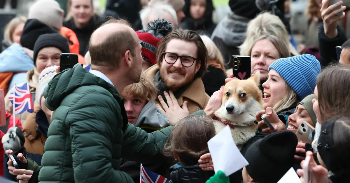 FOTOREPORTAAŽ ⟩ Prints William tutvub Eestis keskkonnafirmade, Ukraina laste ja liitlasvägedega