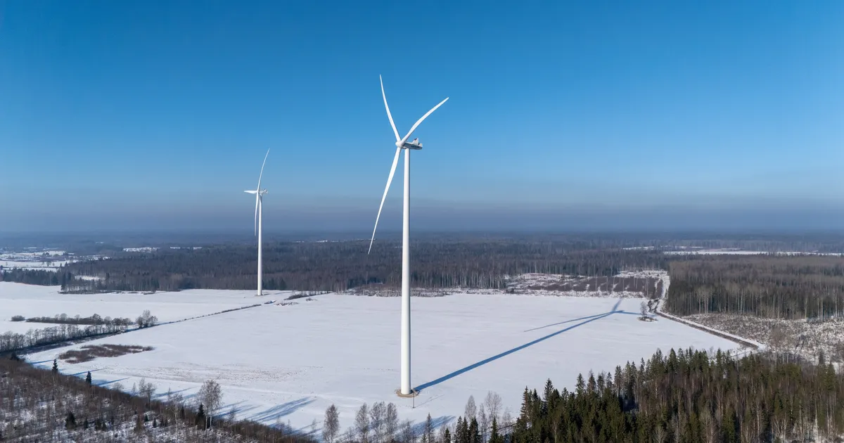 KOIT RAUD ⟩ Lollide puudust meil ei ole...