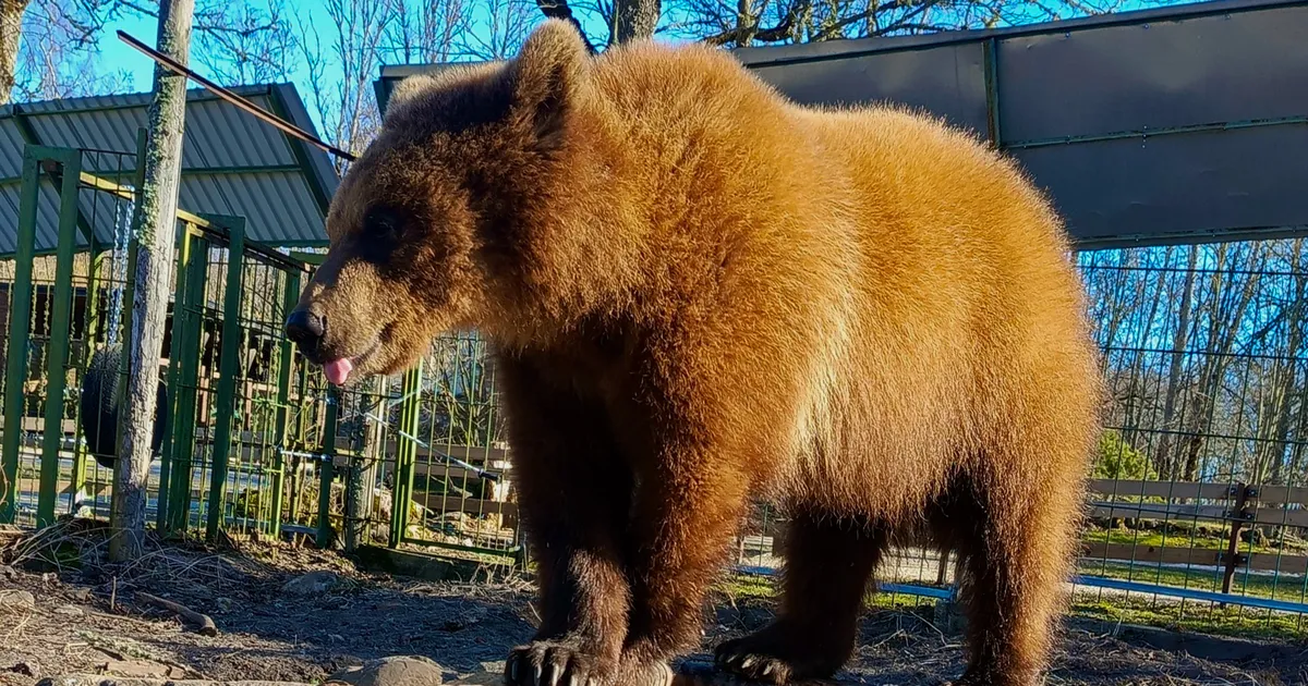 Elistvere uus karutüdruk sai väga omapärase nime