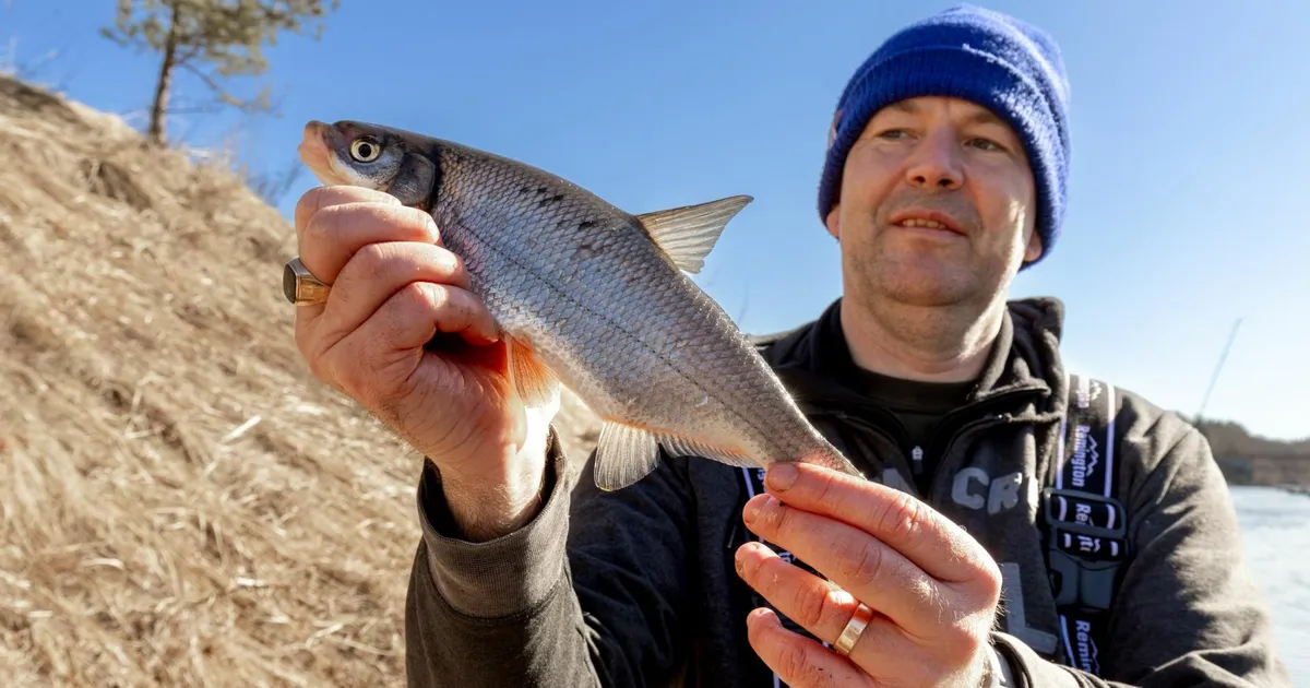 Galerii ⟩ Somes avaldatud fotod peibutavad Reiu jõe äärde kalamehi igast ilmakaarest