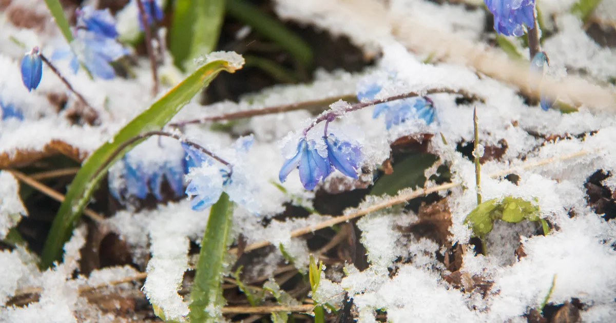 Teisipäeval sajab vihma