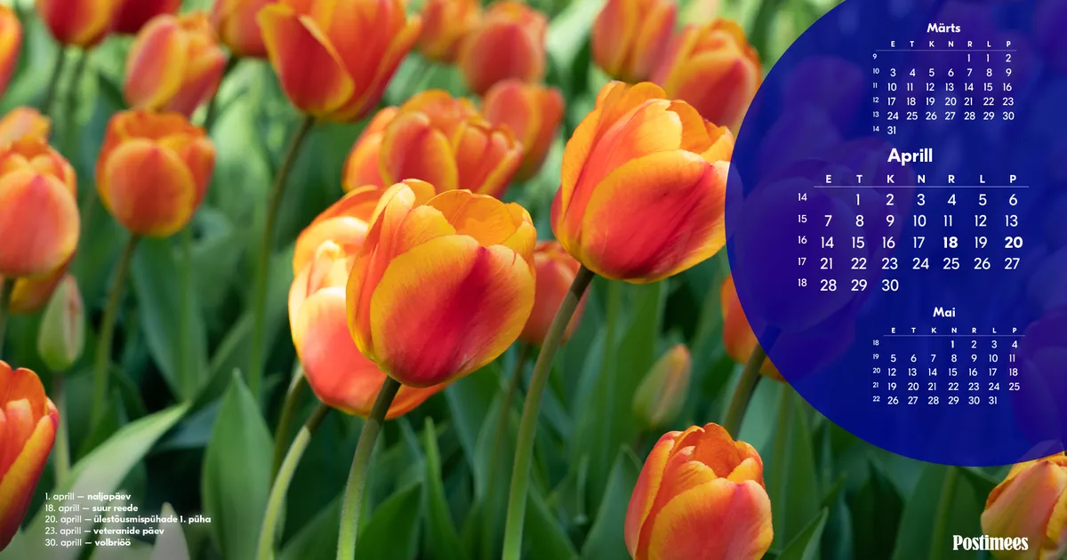 Aprilli kalender 2025