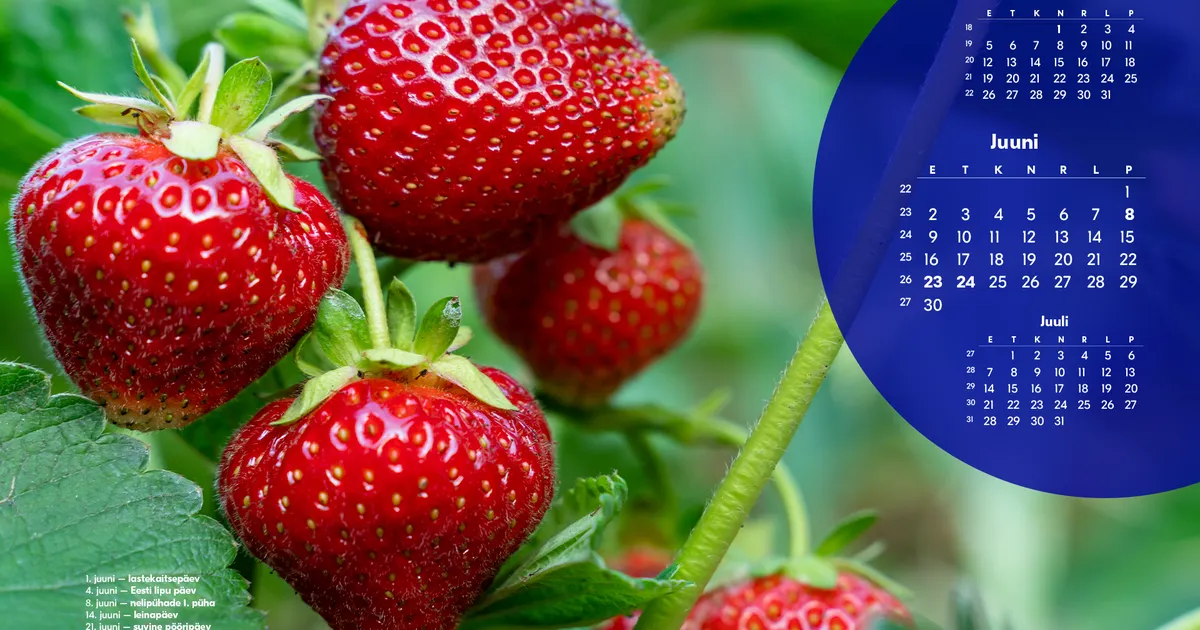 Juuni kalender 2025