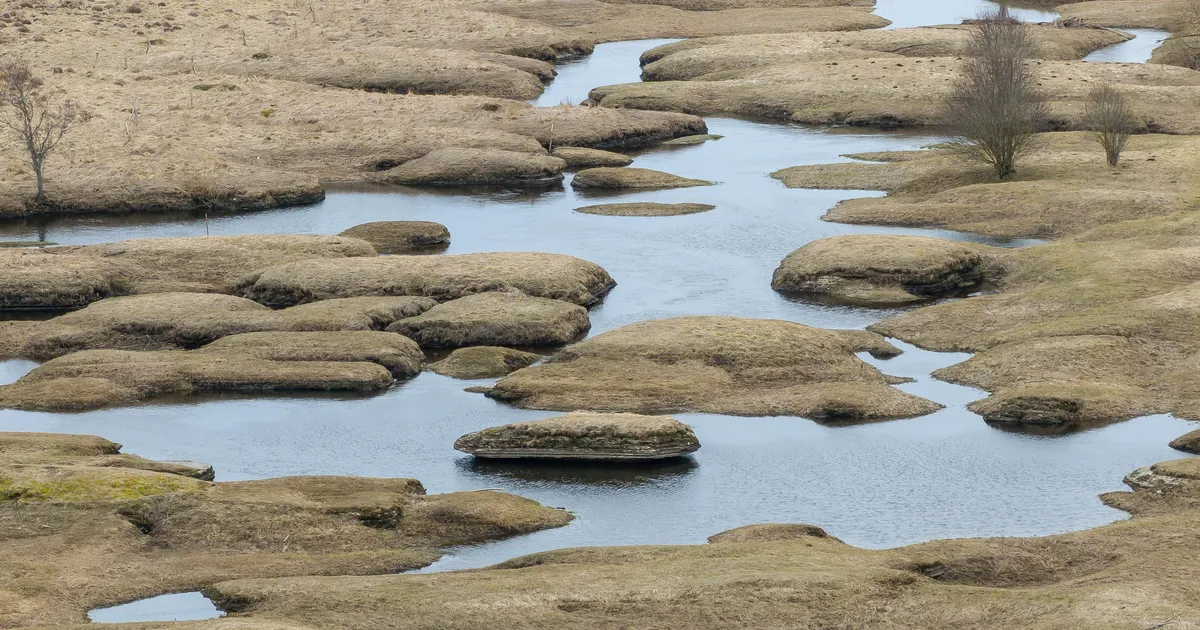 Galerii ⟩ Kostivere karstialal tuli nähtavale maa-alune jõgi