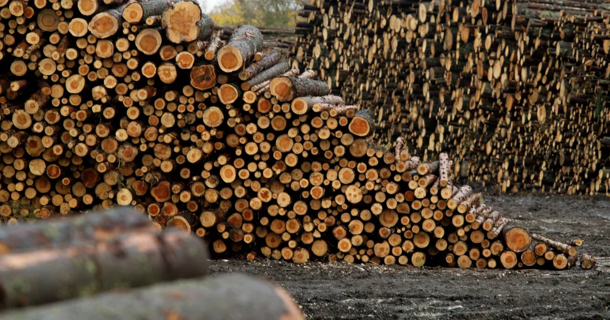 RMK suured puidudiilid võitsid kaks ettevõtet