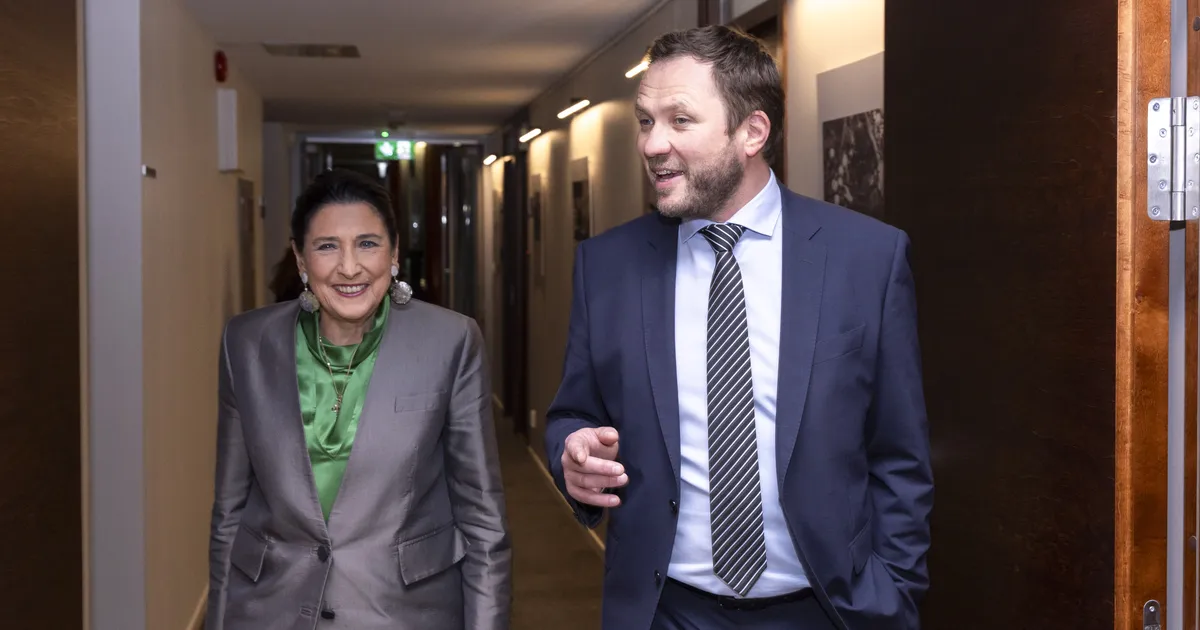 Tsahkna lubas Gruusia presidendiga kohtumisel tugevat toetust Gruusia demokraatlikele jõududele