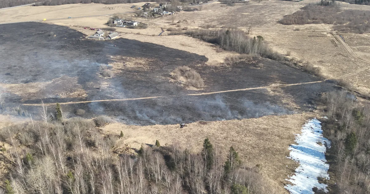 Ilus ilmaga kaasnes mitukümmend maastikupõlengut