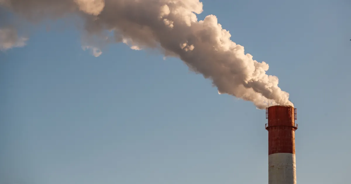 PUUST JA PUNASEKS ⟩ Kuidas ja miks liituda kaugküttega?