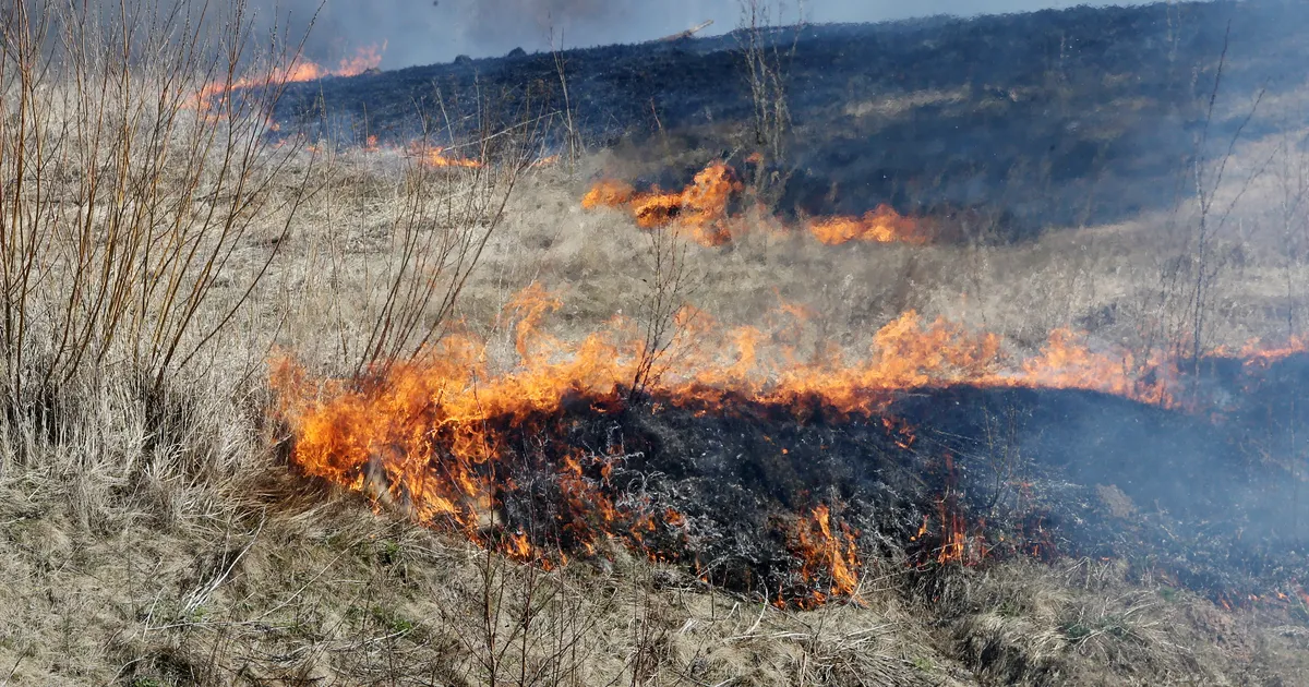 Päästjad kustutasid nädalavahetusel tosin kulupõlengut