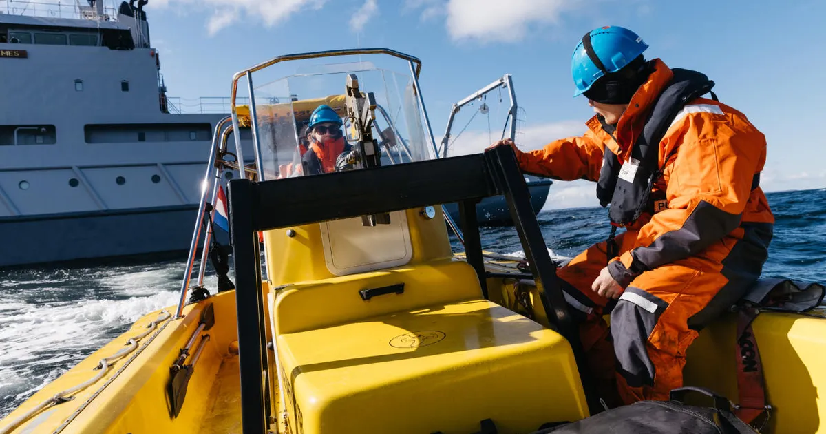 WSJ pardavaade: kuidas sabotaaži kahtlustav NATO Läänemerd patrullib