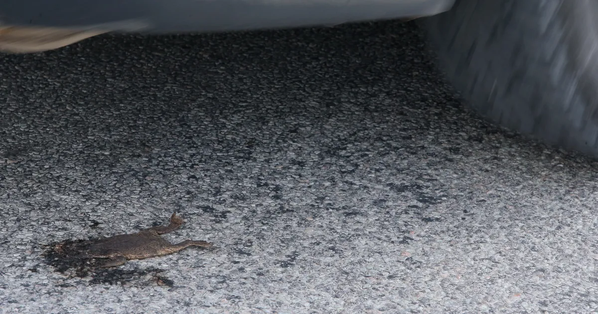 Konnarände ajaks kehtestatakse Ihastes ajutised liikluspiirangud