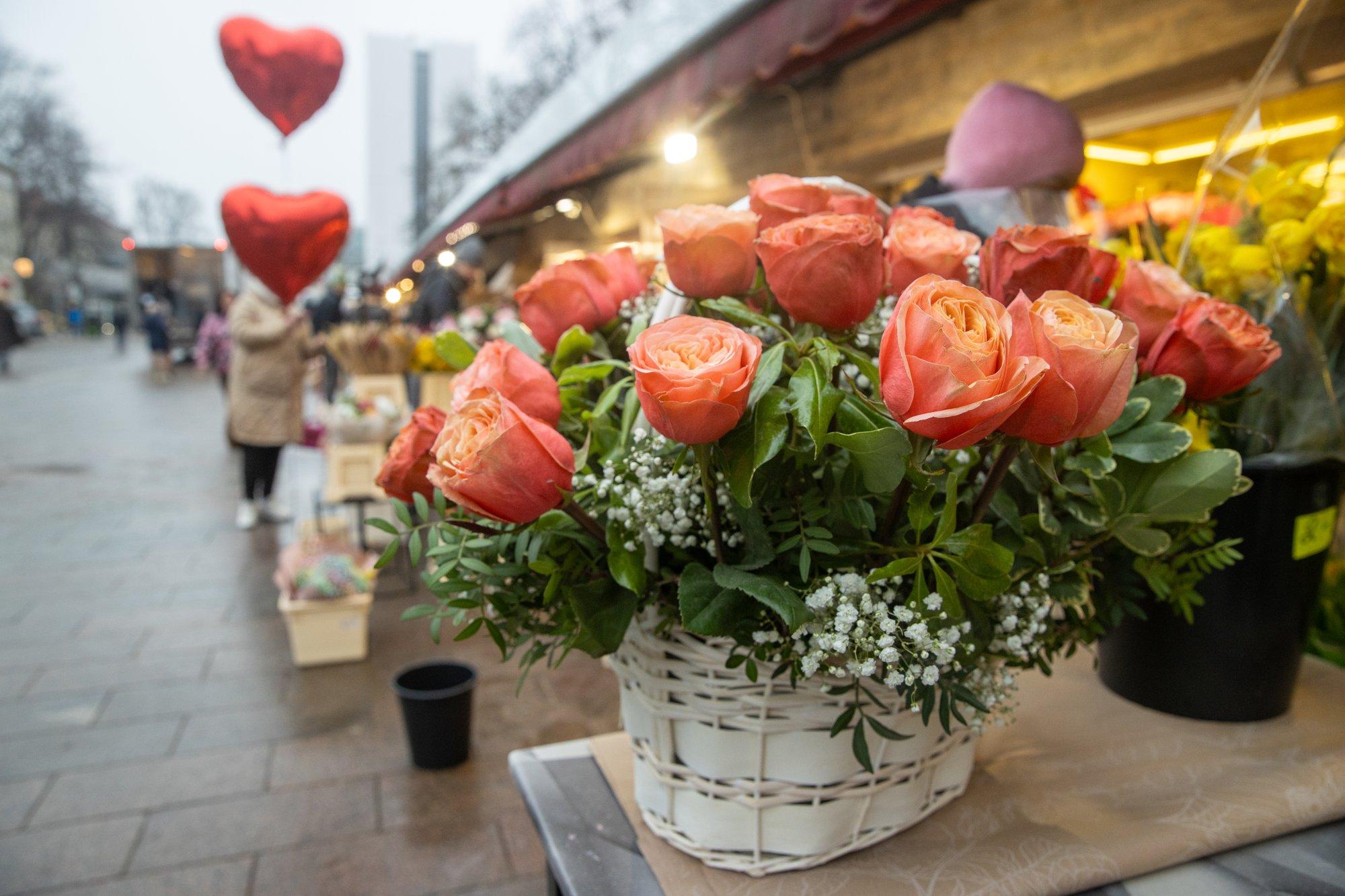 POLIITKOLUMNIST | Jana Toom: meespoliitikud, soolake oma lilled sisse...