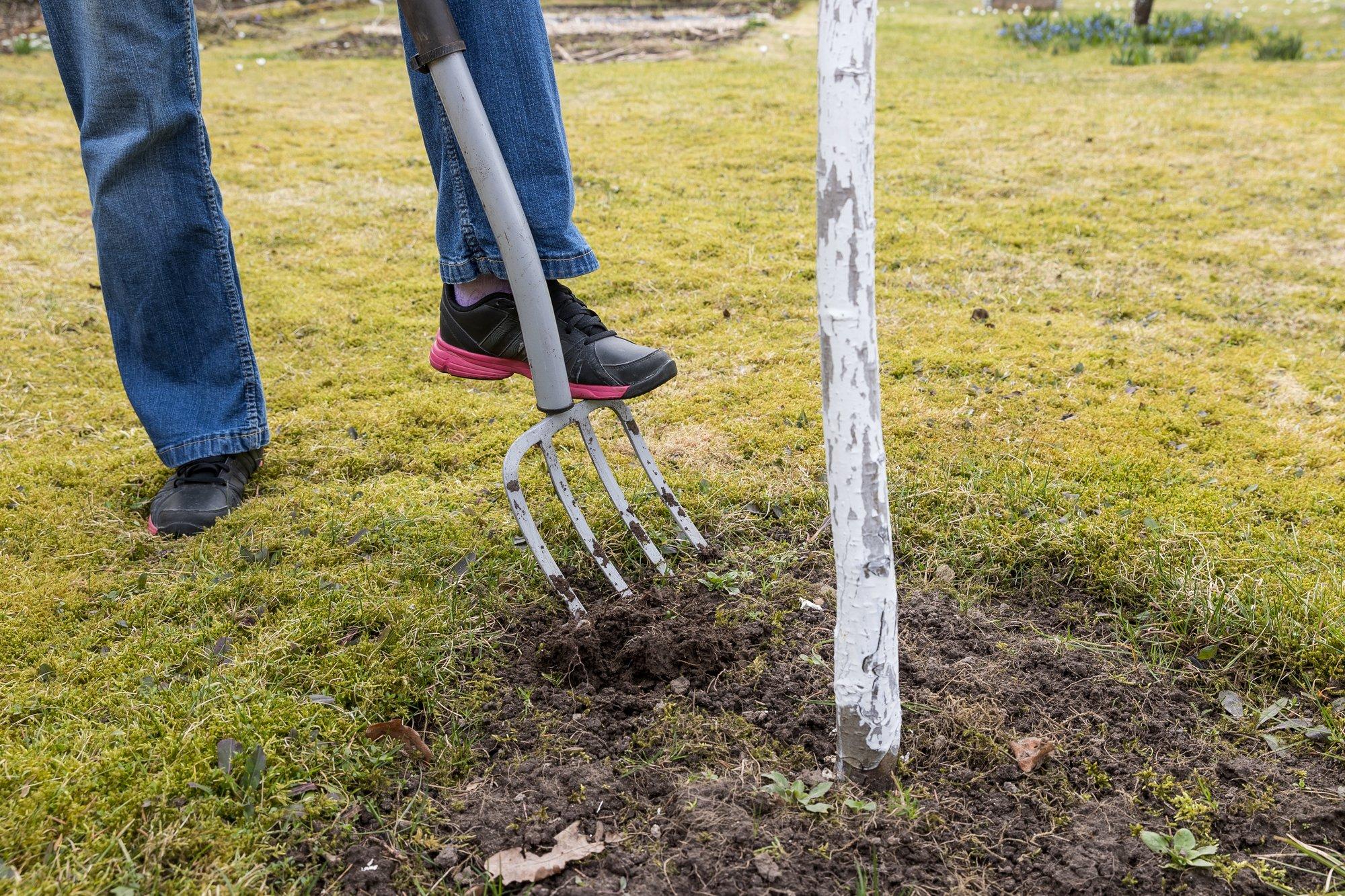 Praegu on paras aeg võtta ette kevadine suurpuhastus puuviljaaias