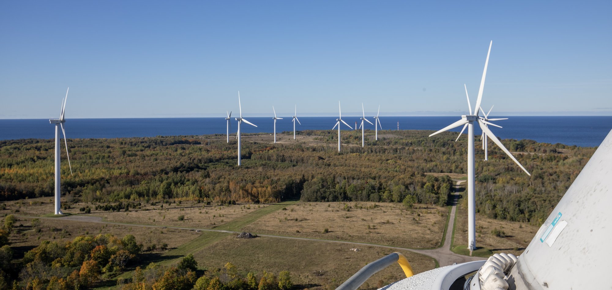 GRAAFIK | Börsielekter teeb homme märtsi hinnatipu