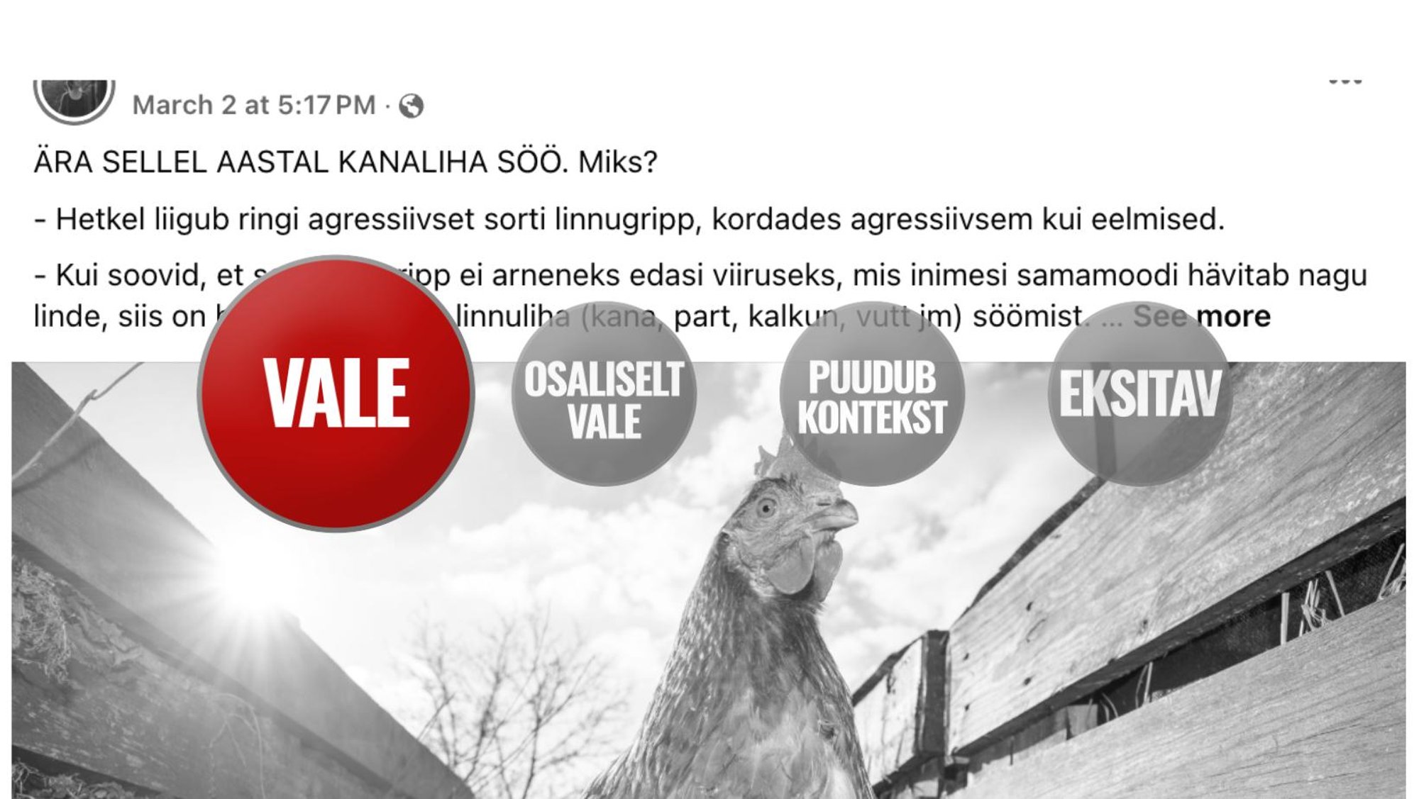 FAKTIKONTROLL | Linnugripi viirus ei „toitu“ linnulihast inimese kehas