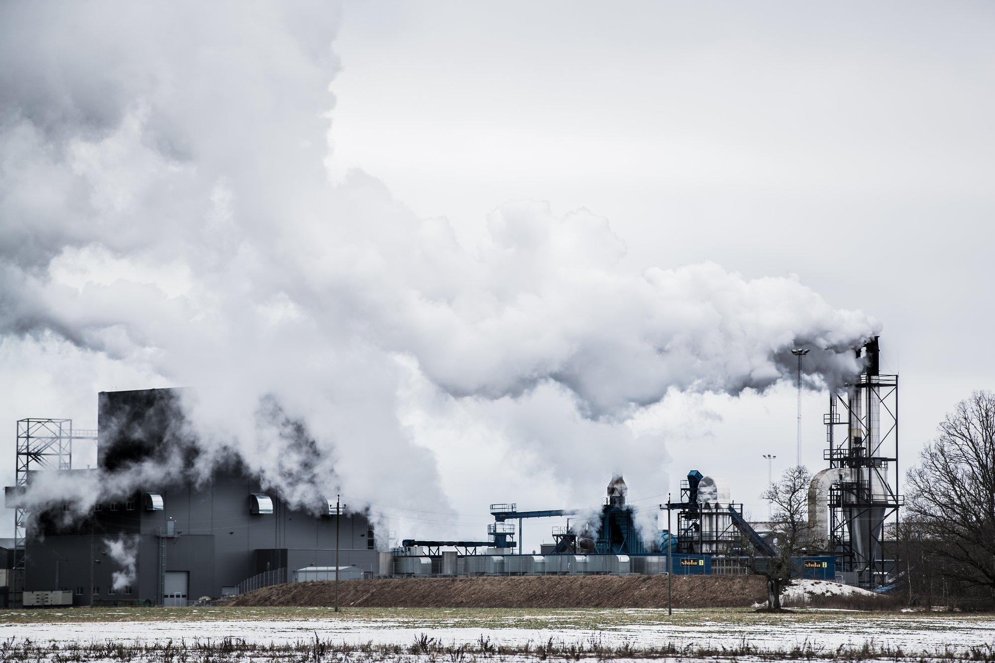 Henrik Välja: Kuidas lahendada Eesti energiaprobleem? Kohalike pelletitega!