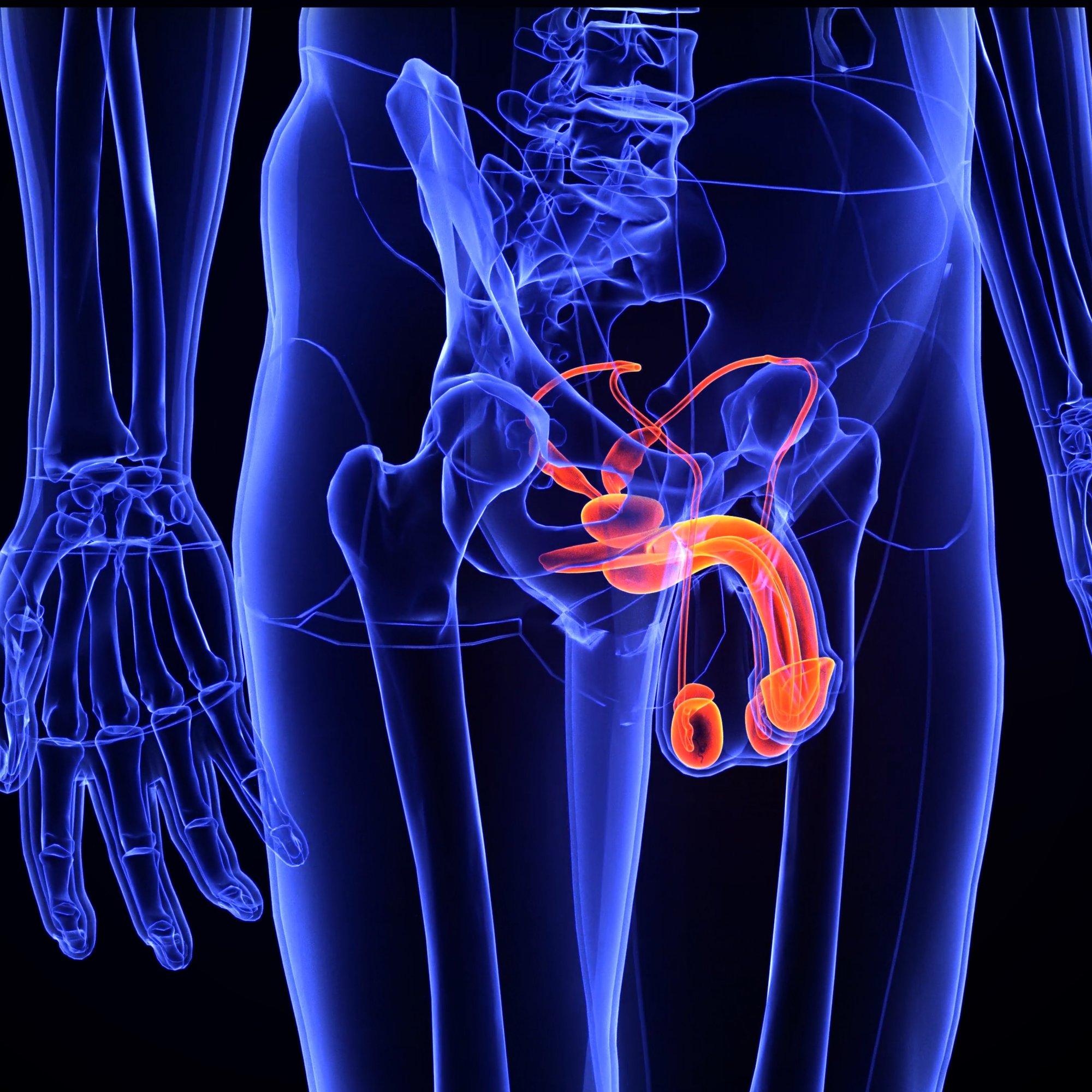Liiga tihti, liiga harva – on see tervisele halb? Mida iga mees võiks seemnepurske kohta teada: 12 küsimust ja vastust sperma kohta