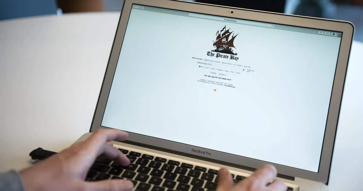 Sloveenias hukkus lennuõnnetuses Pirate Bay'ga seotud Rootsi ärimees