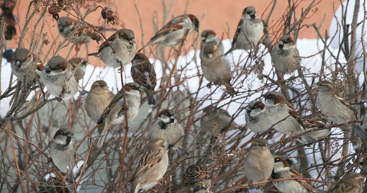 Neljapäeval olulist ilmamuutust pole oodata