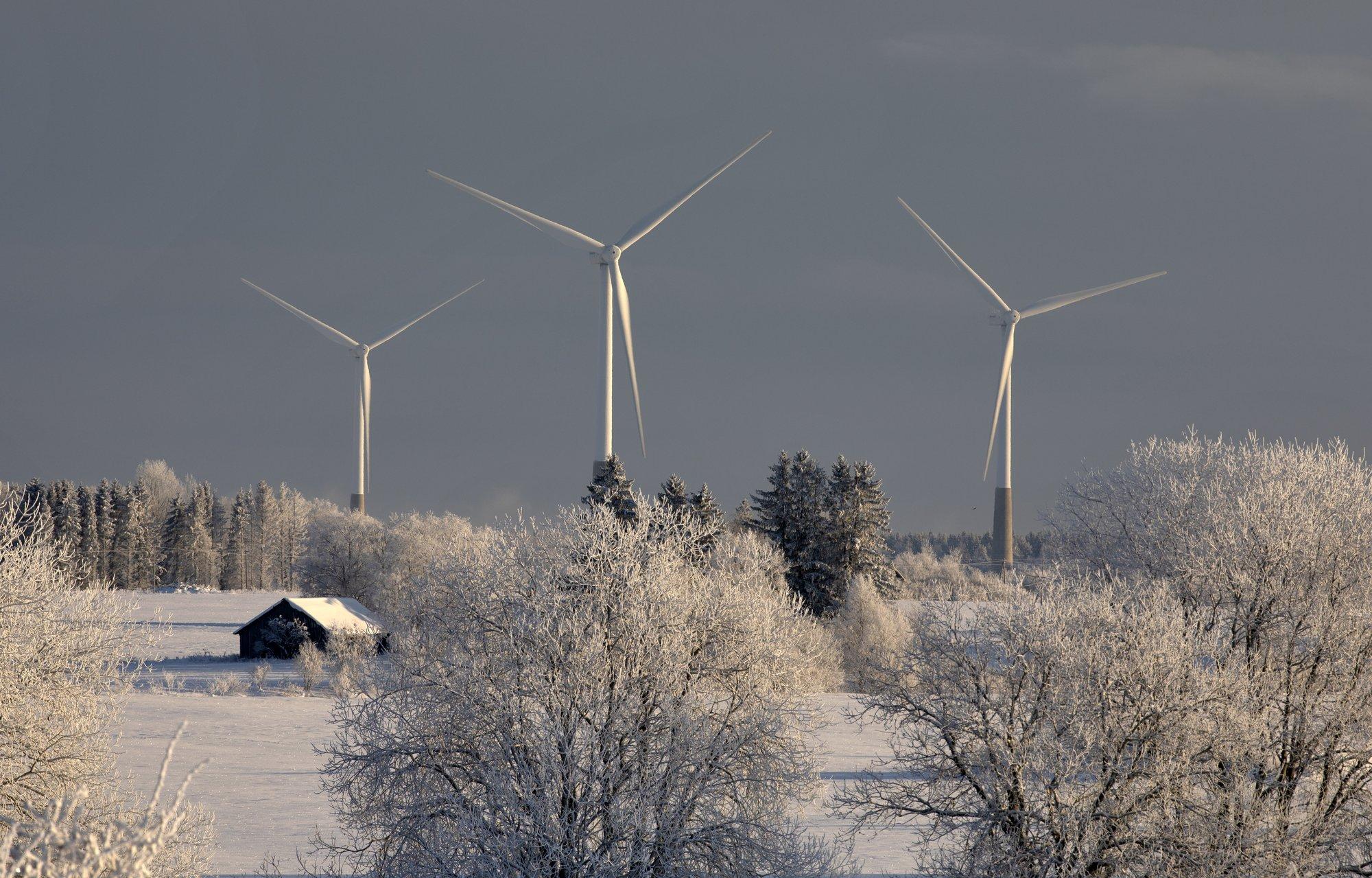 ÜLEVAADE | Tuulikusõja vaheseis: omavalitsuste tahe tuuleparke rajada on hakanud raugema