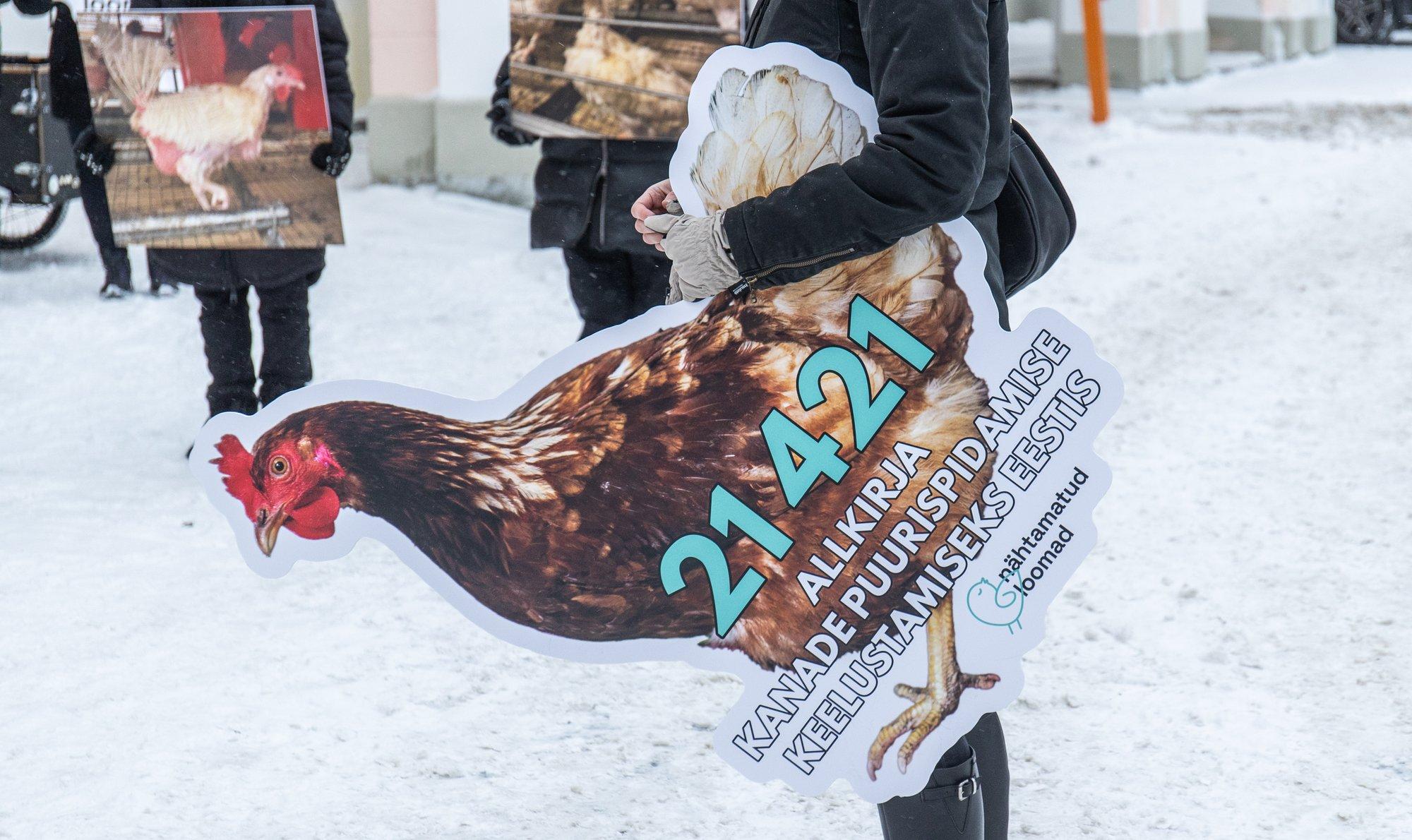 Juhan Kivirähk: elagu orjapidamine? ERR peaks puurikanade probleemi käsitlema erapooletult