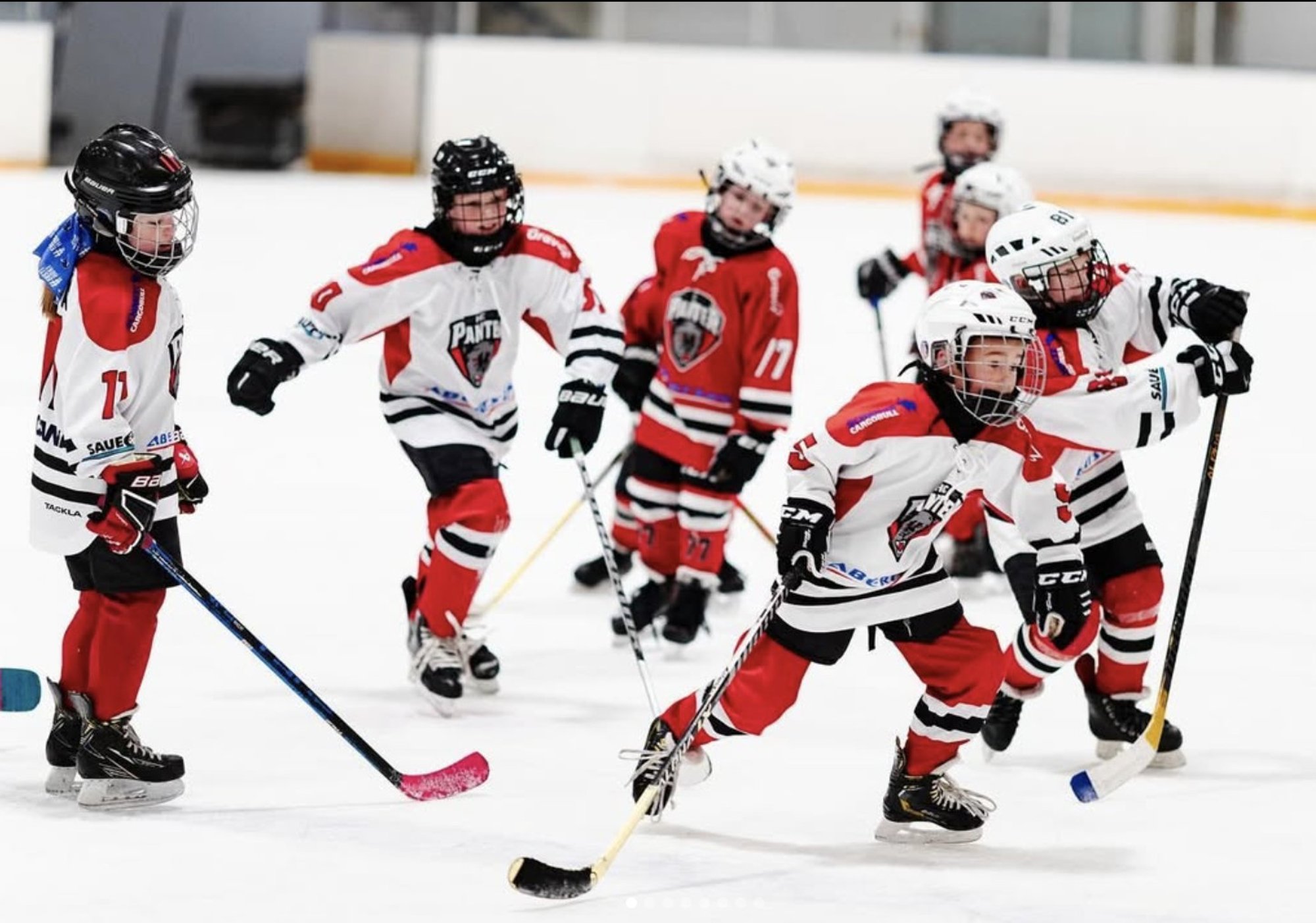 Tuhanded pildid/videod telefonis, tutimüts ja soe jope, pleed alati kaasas. Mis olend on hokiemme?