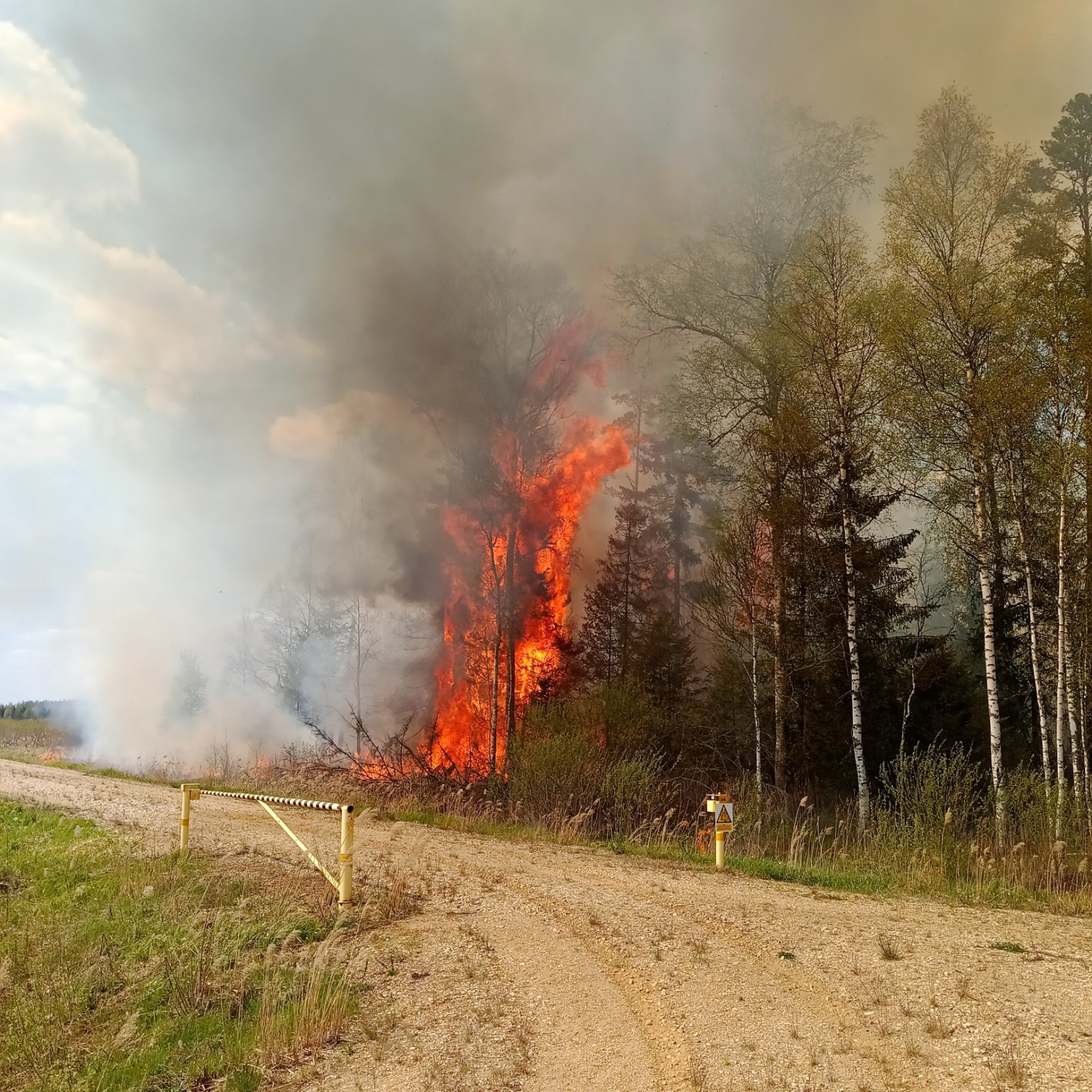Suured kulupõlengud saavad alguse ka mootorsaest ja ATVga põllul rallimisest