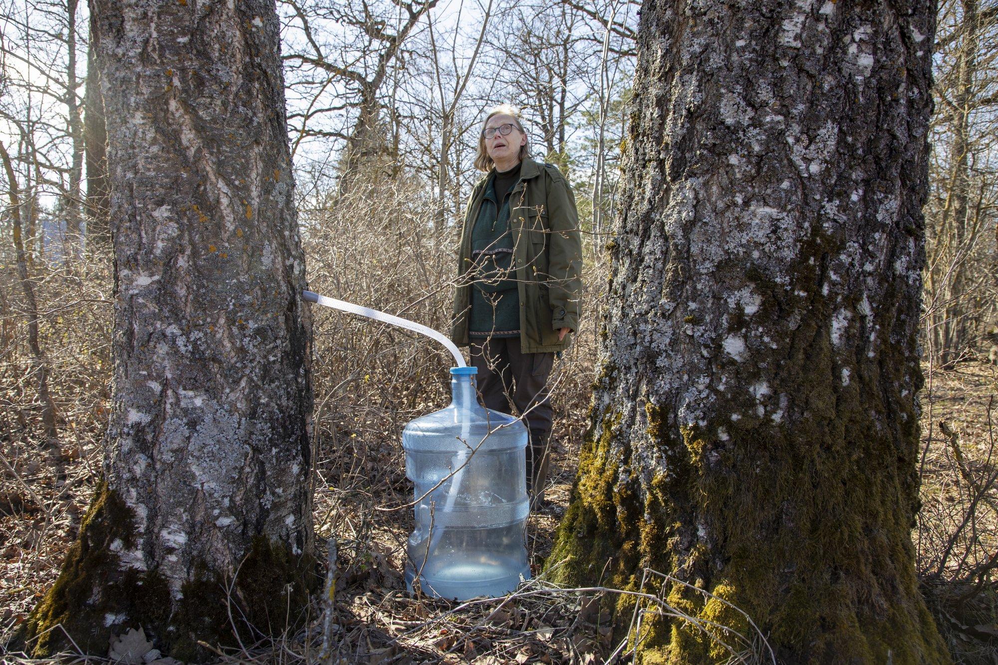 6 põnevat retsepti, mis aitavad kasemahla säilitada ilma seda sügavkülmutamata