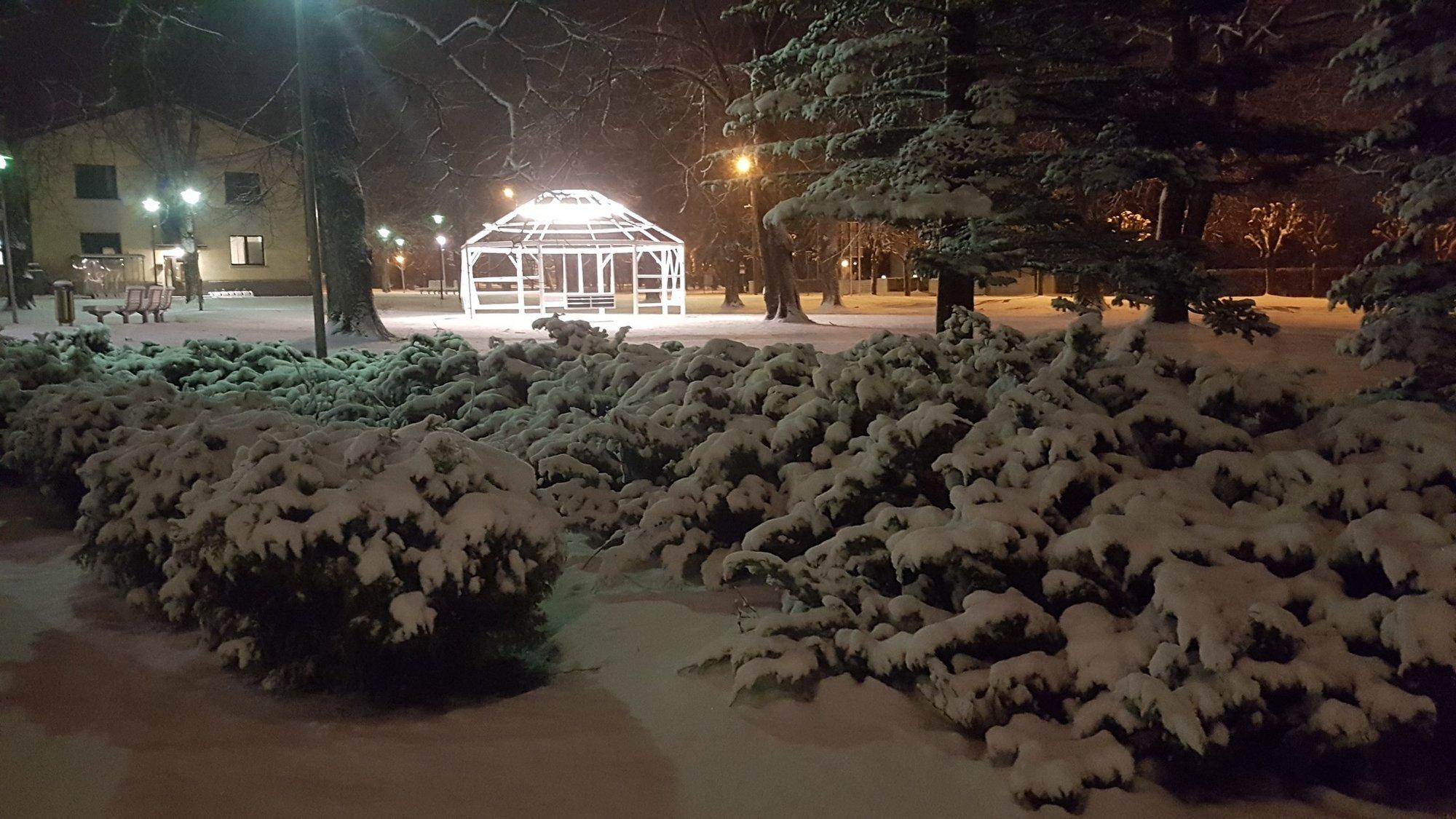 Ilmateadlane Ain Kallis: märtsikuu on Eestis varem karmuselt sageli veebruarile ära teinud