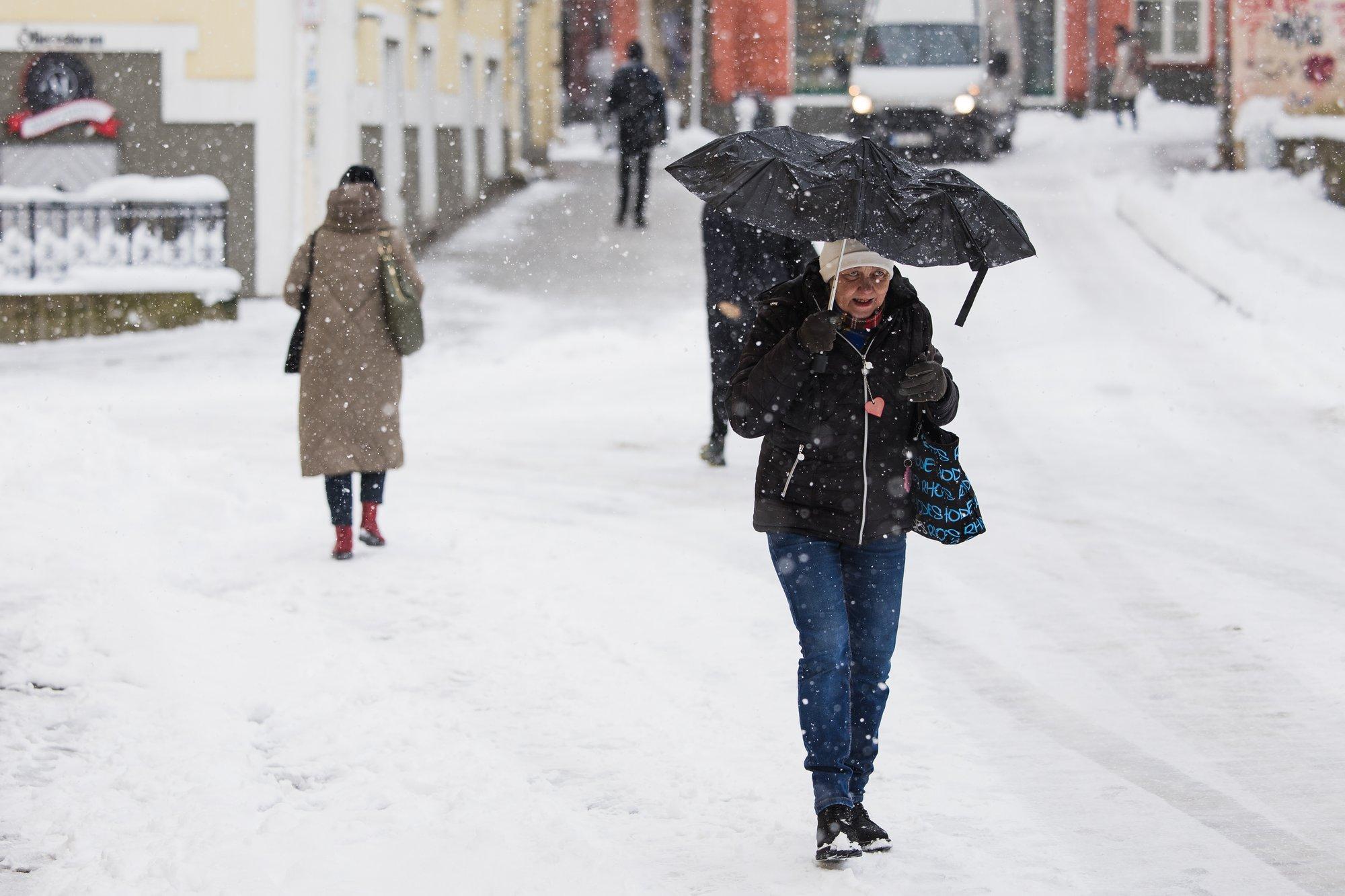Sünoptikud: lumi sajab taas maha ning miinuskraadid tõstavad pead