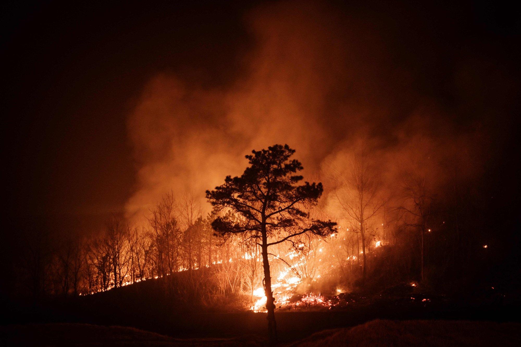 VIDEO | Lõuna-Korea metsatulekahjudes on hukkunud vähemalt 24 inimest