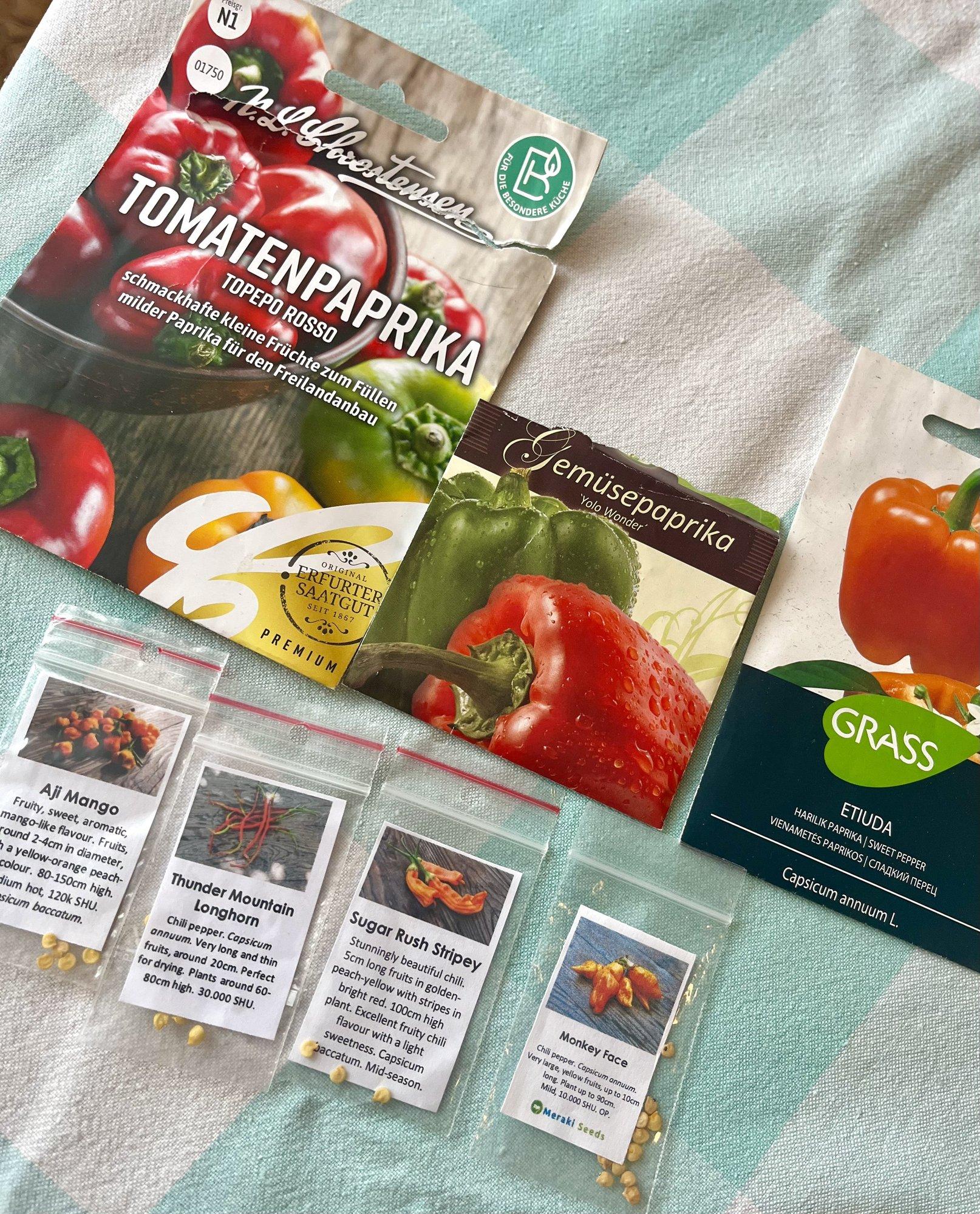 OMA KOGEMUS | Leidsin arvatavasti parima mooduse tugevate paprikataimede kasvatamiseks