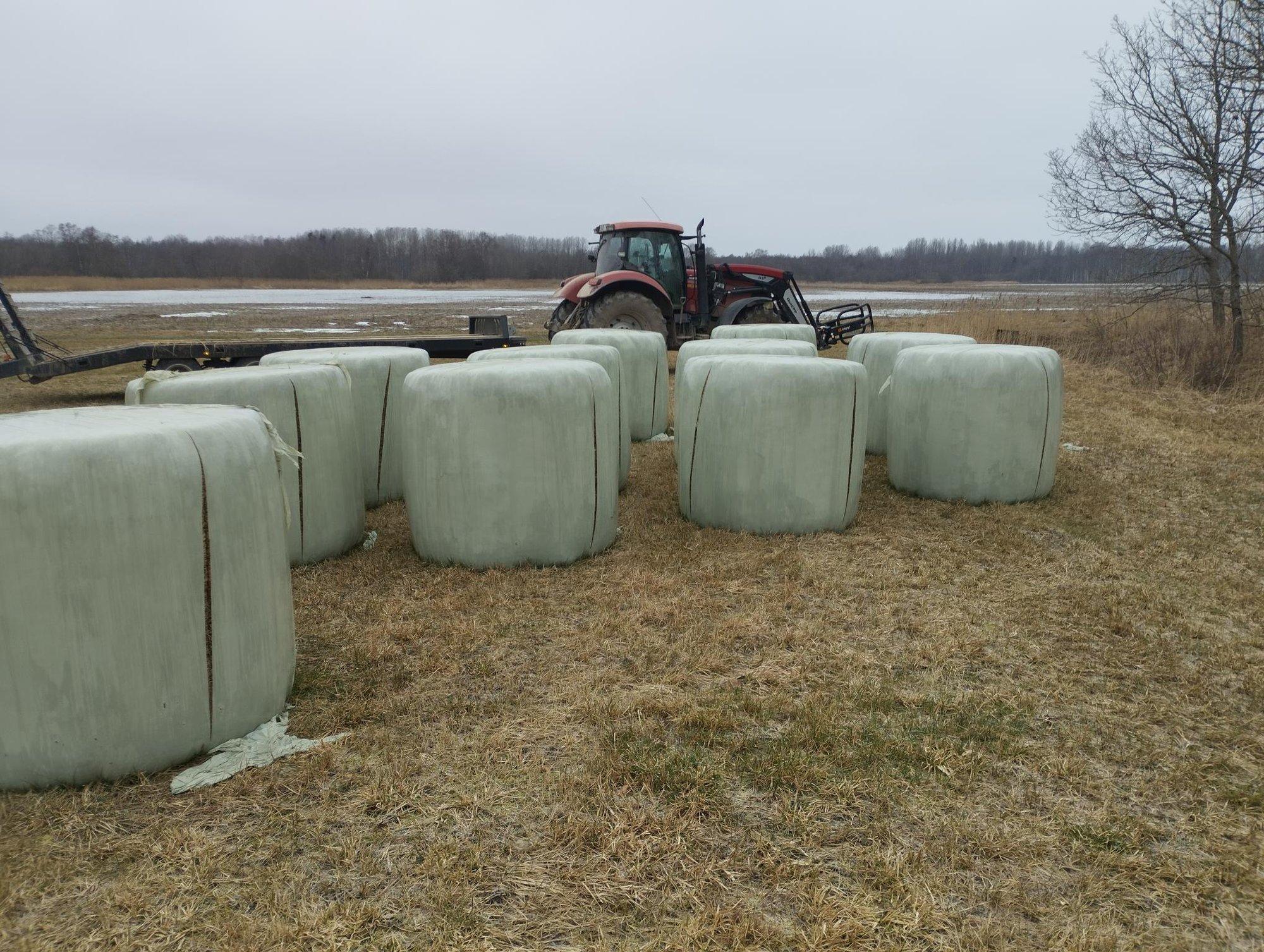 FOTOD | Kättemaks või poisikeste lollus? Saaremaal lõigati noaga puruks hunnik silopalle