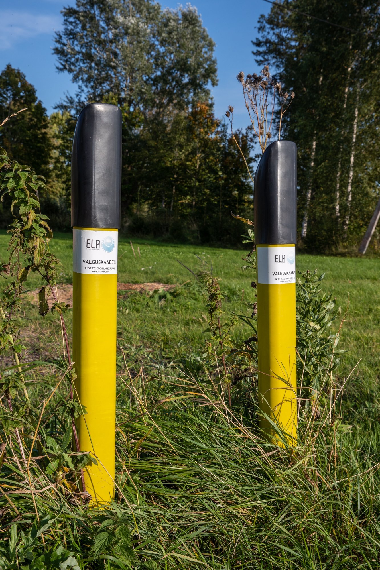 Riik on annetanud internetikaabli vedamiseks sidefirmadele pea 60 miljonit eurot. Iga liitumine on läinud maksumaksjale maksma hingehinda