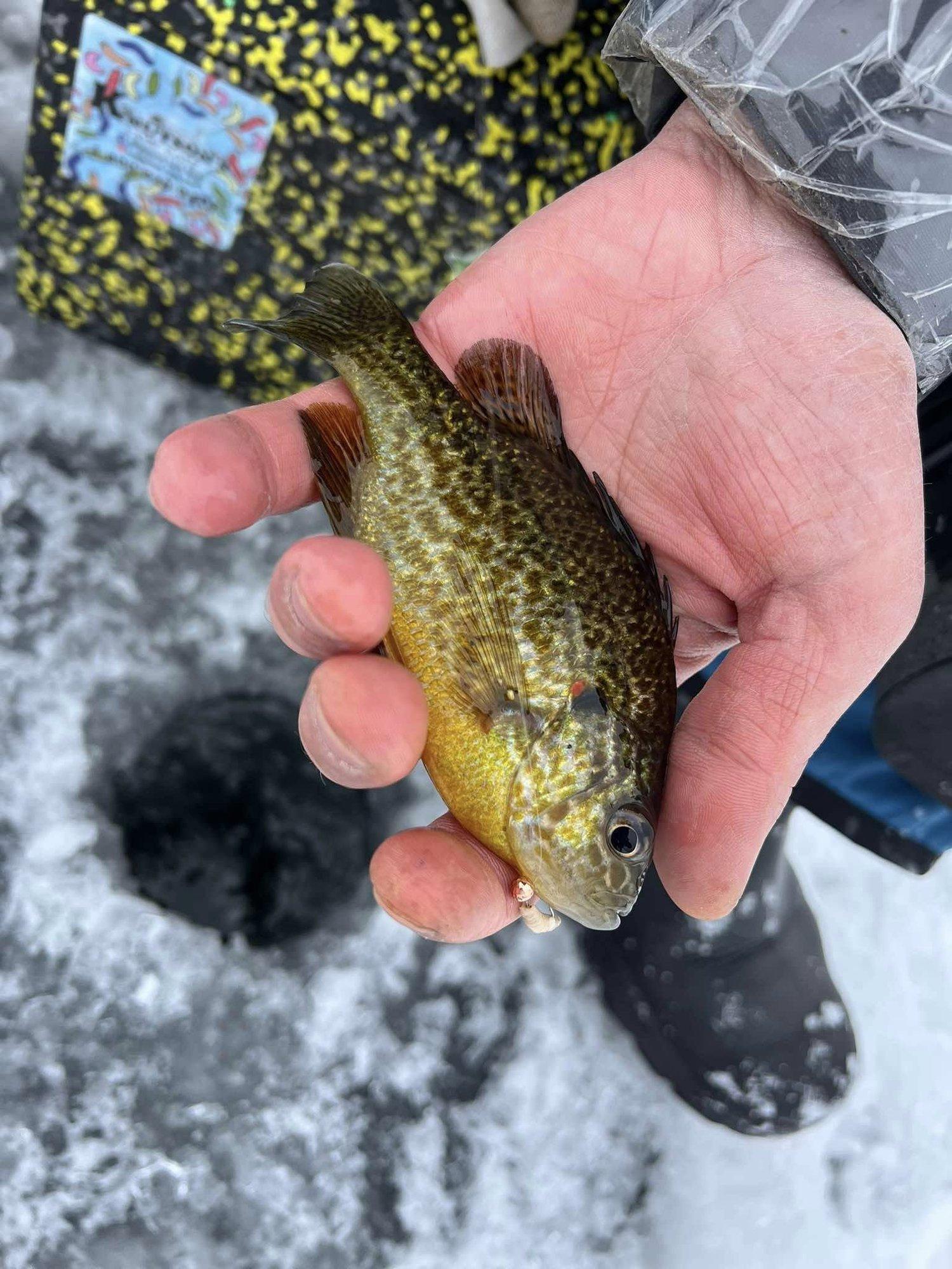 Eesti parimad kalastajad hingavad maailma tippudele kuklasse