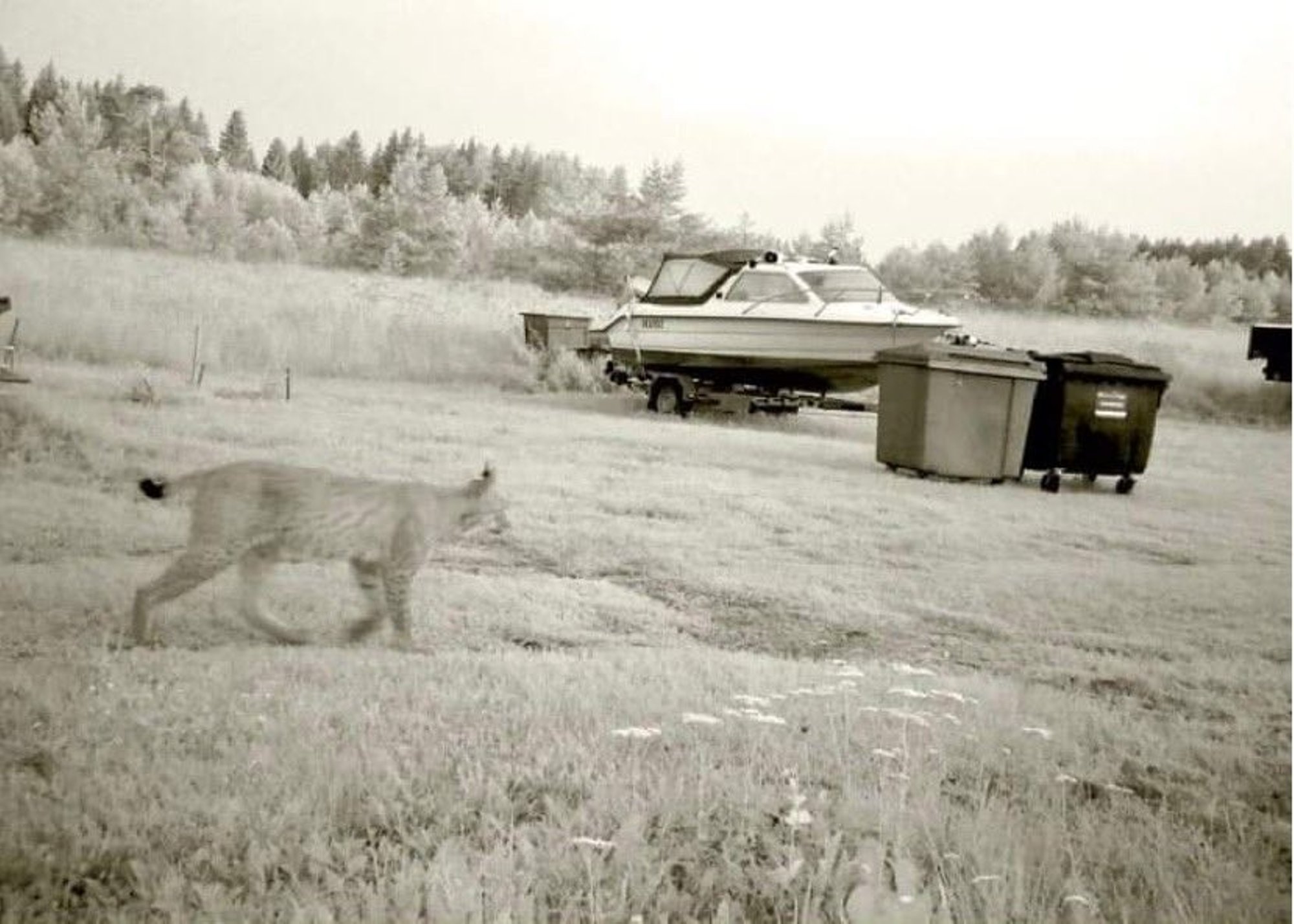 FOTOD | Talumees Andres: mu aia vastu on vist kõik Eesti loomaliigid huvi tundnud