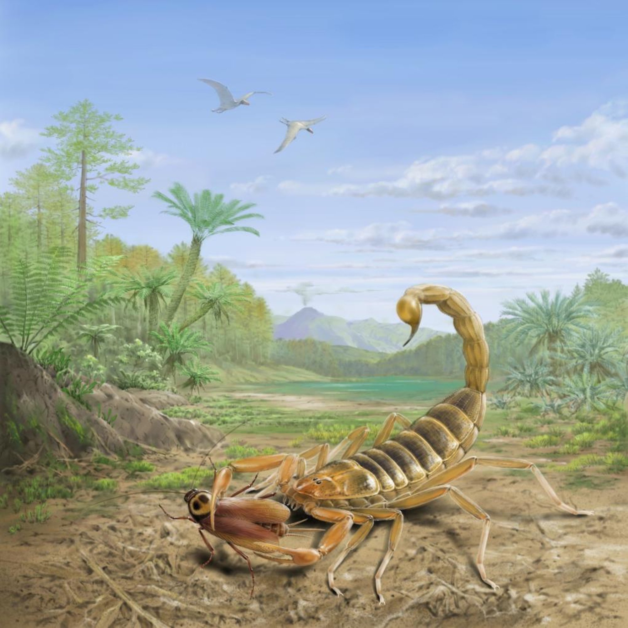 FOTOD | Hiina teadlased avastasid varem tundmatu mürgise hiigelskorpioni liigi