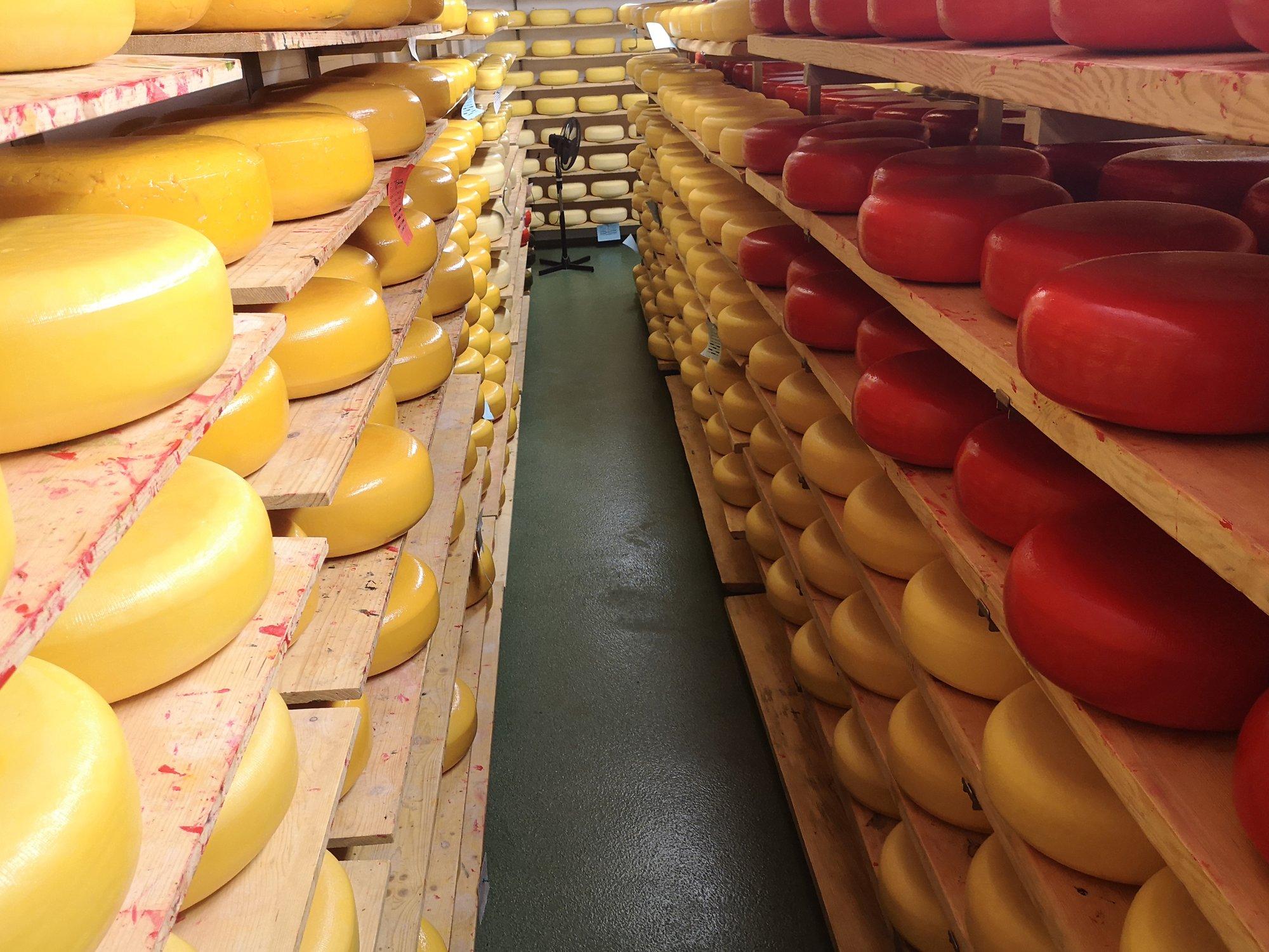 TURUHINNAD | Piimatoodete hinnad on tõusnud kõrgustesse