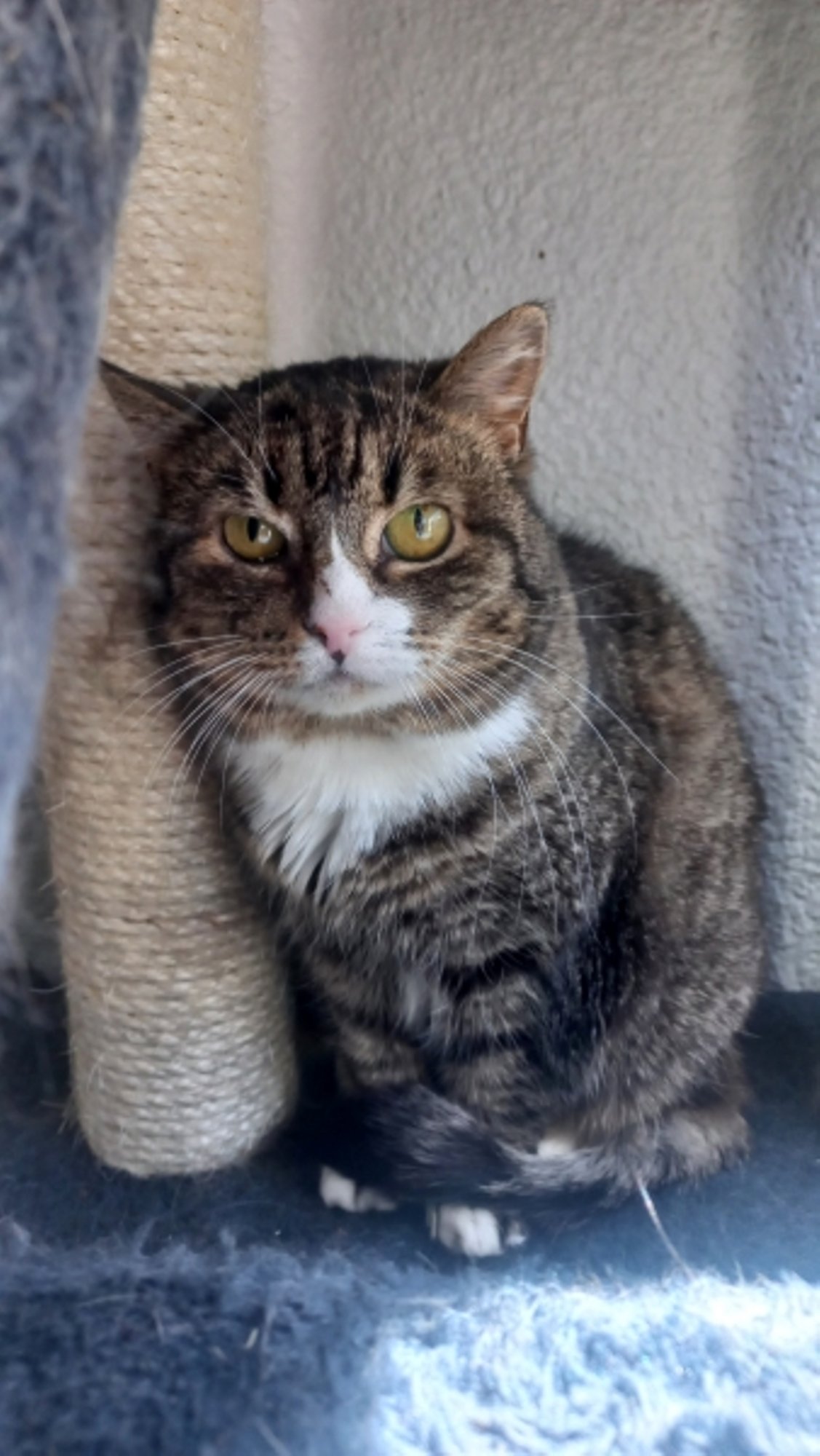 Neli aastat murtud südant: Nuki silmist kumab endiselt nukrust ja hirmu reetmise ees