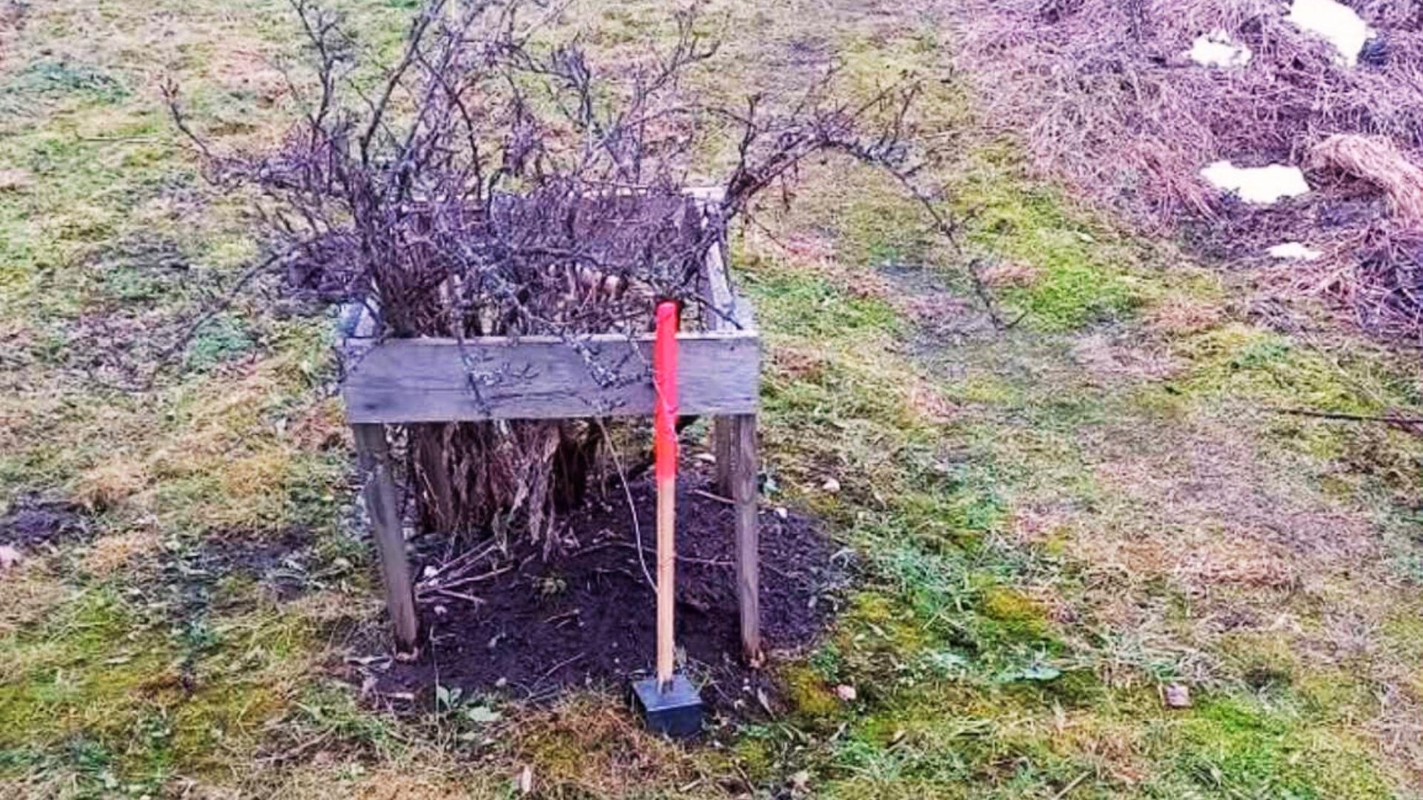 Suur ehmatus: Kohila elanik avastas, et tema aiamaa muutub peagi hoopis parklaks