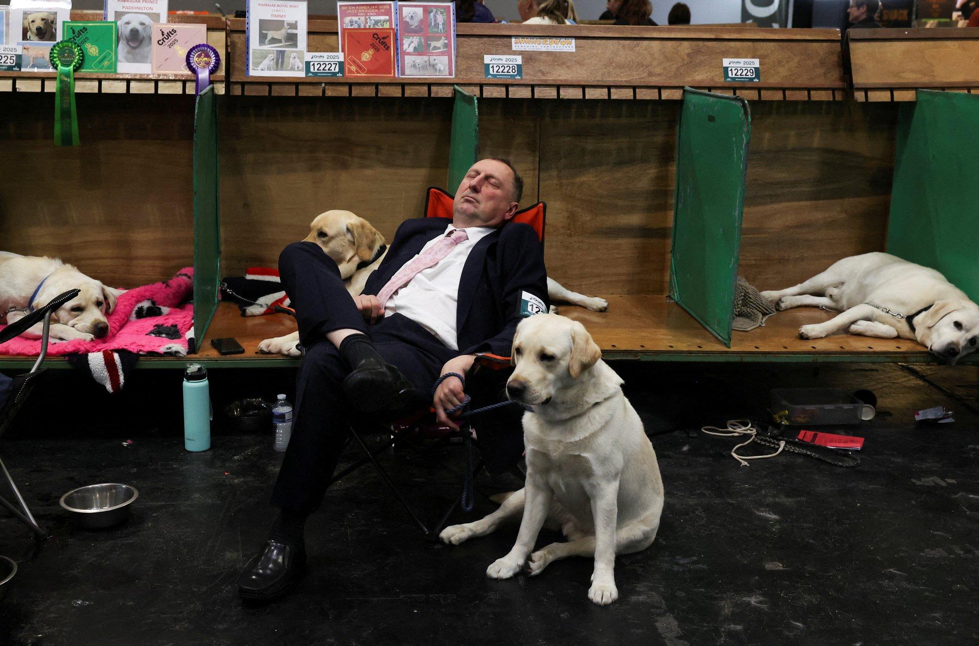 Mida on ühist inimestel ja labradoridel? Meil on ühine ülesöömise geen