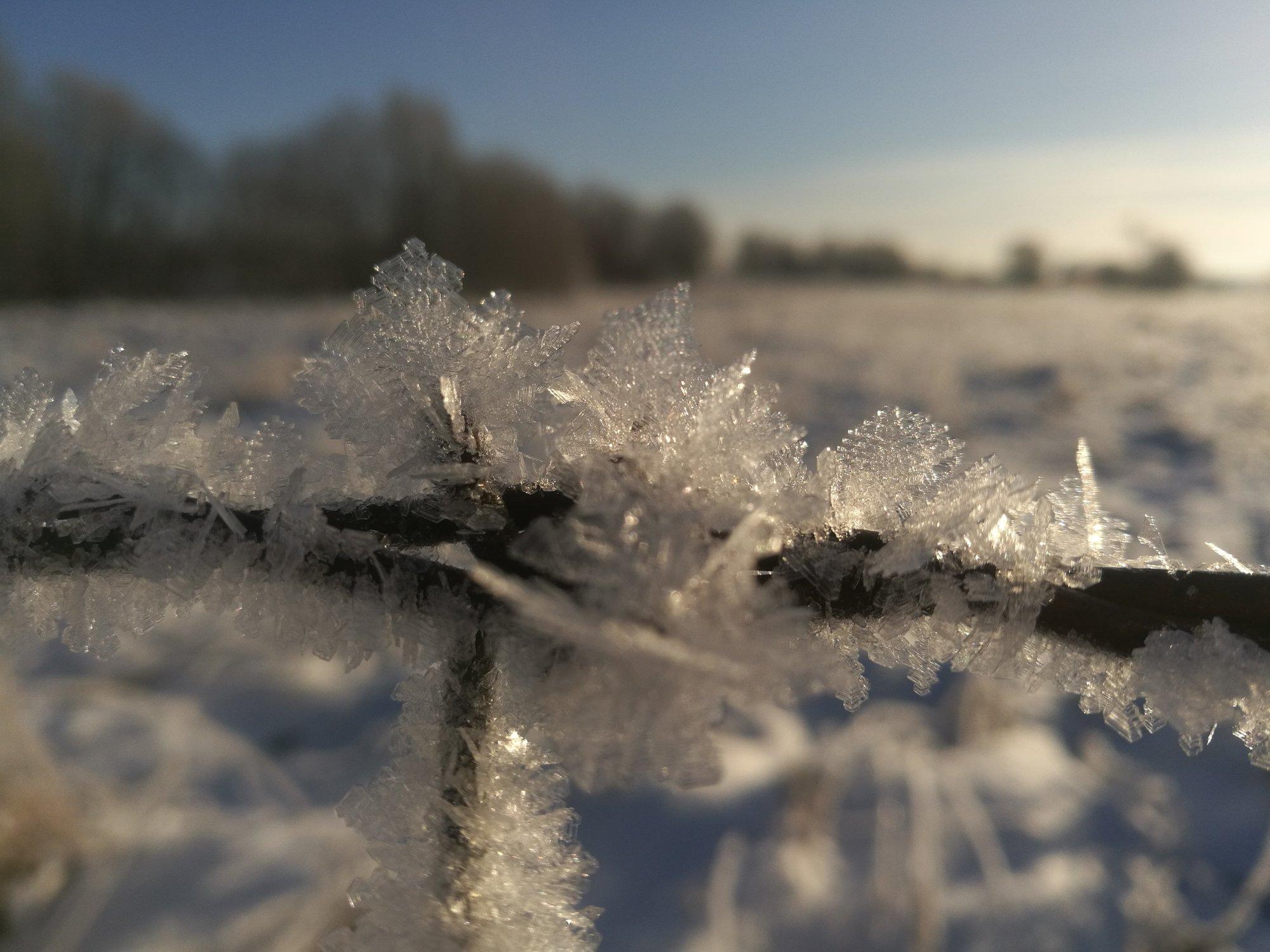 ILMATEADE | Ilm keerab nädalavahetusel vindi peale: laupäev on päikeseline, pühapäev toob lumetormi